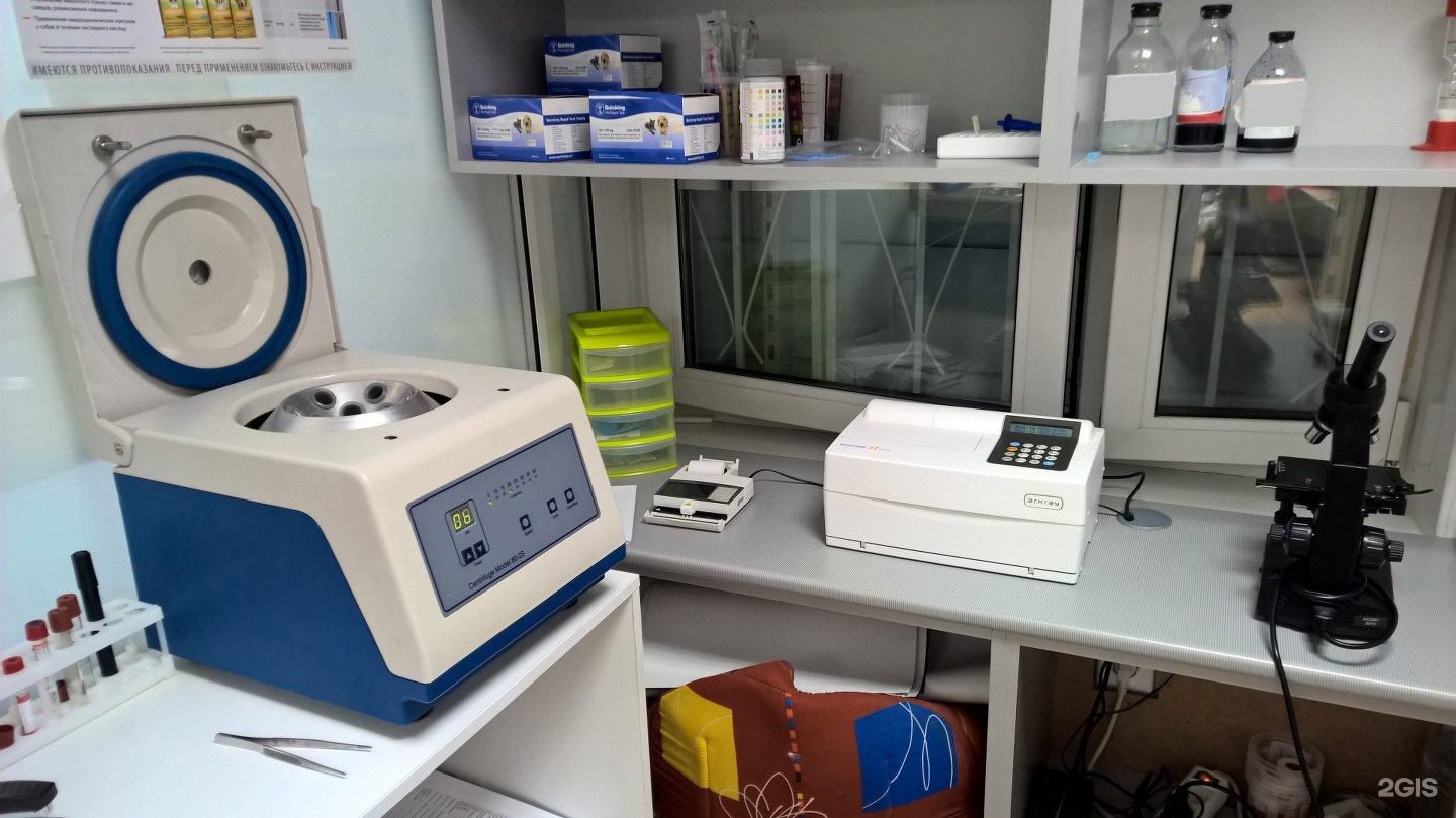 Челябинский центр ветеринарной медицины — груминг Челябинск