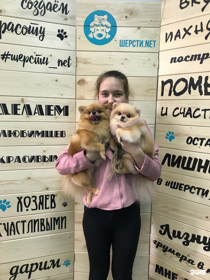 Шерсти.net, студия груминга — груминг Челябинск