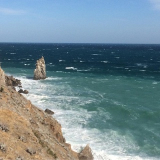 Стригли, груминг-мастерская