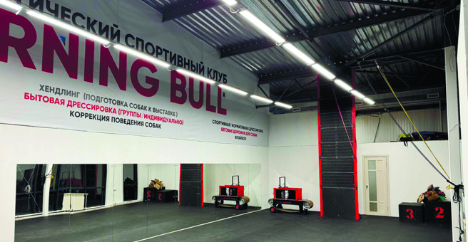 Burning Bull, клуб дрессировки собак — груминг Иркутск