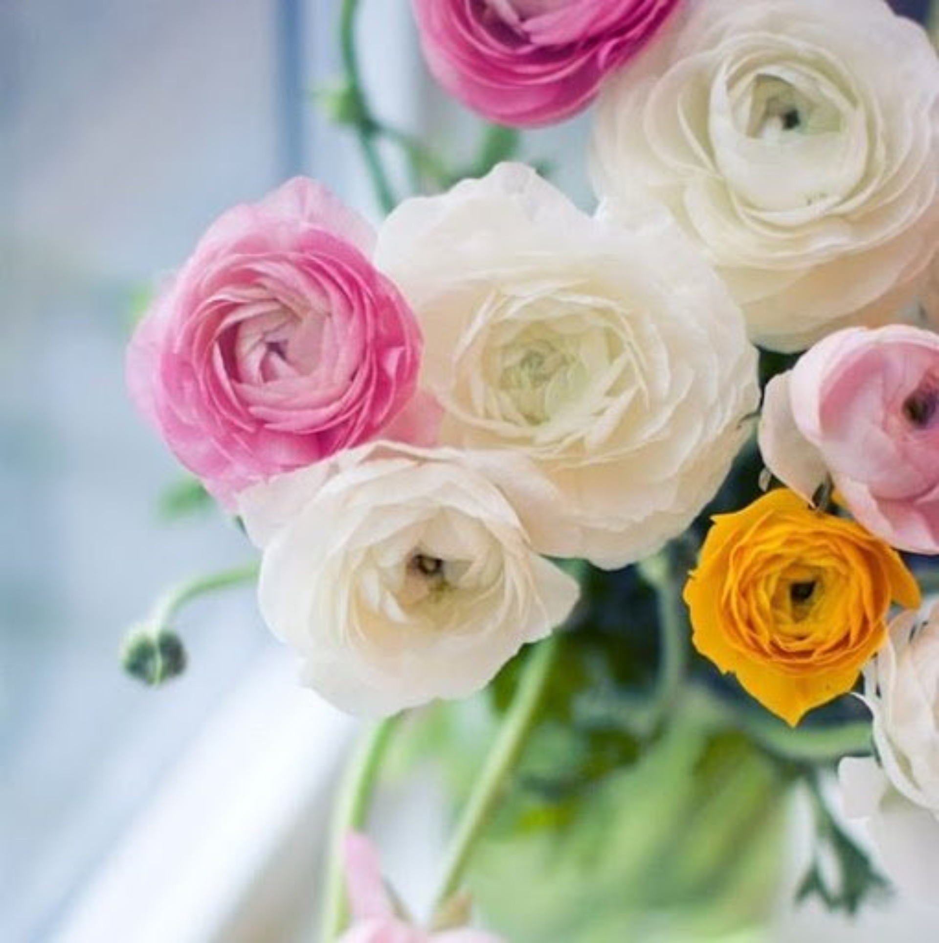 На Дубравной, ветеринарный центр