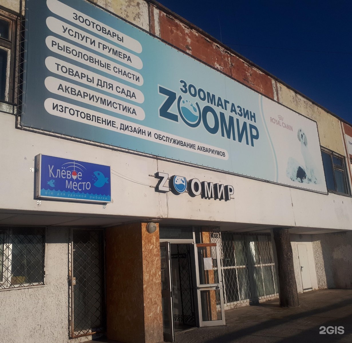 Zooмир, зоомагазин — груминг Казань