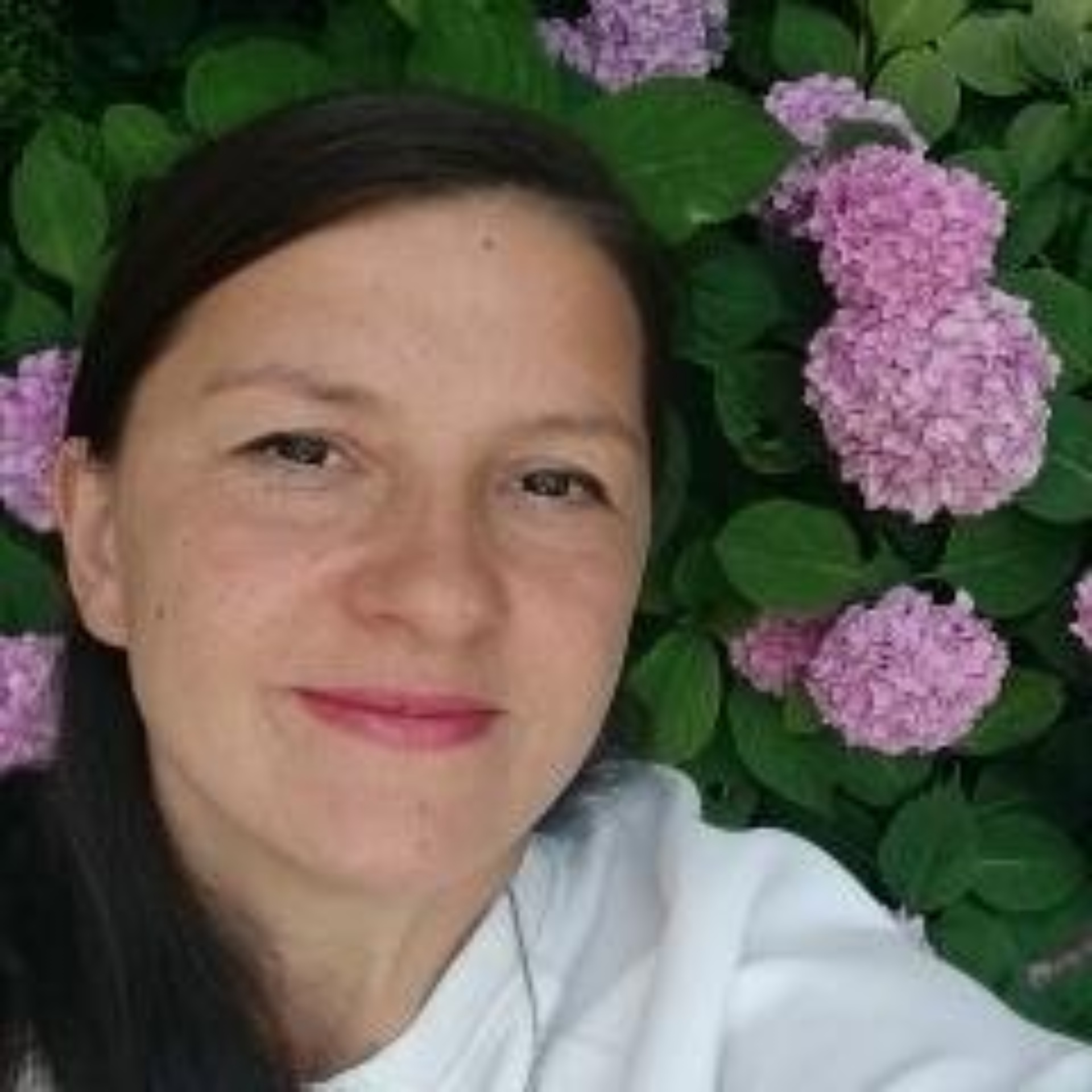 Альфа, ветеринарная клиника