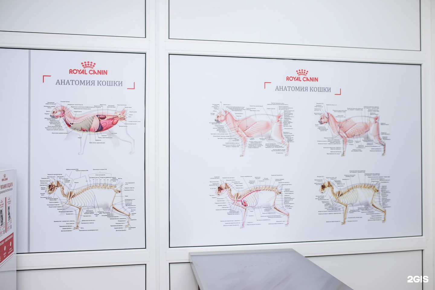 Друг, ветеринарная клиника