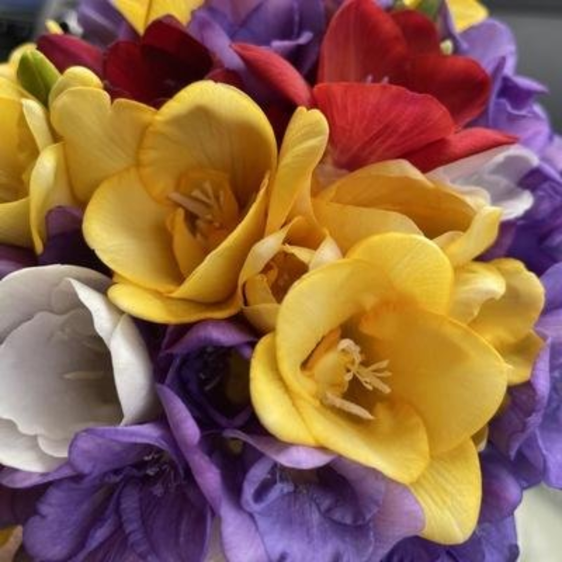 Happy Tail, зоосалон