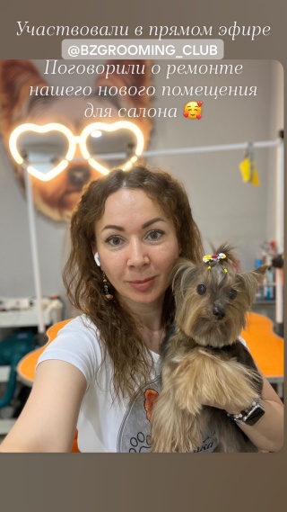 Милорд, груминг-салон