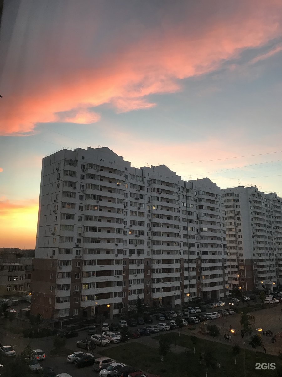 Слон, ветеринарный центр