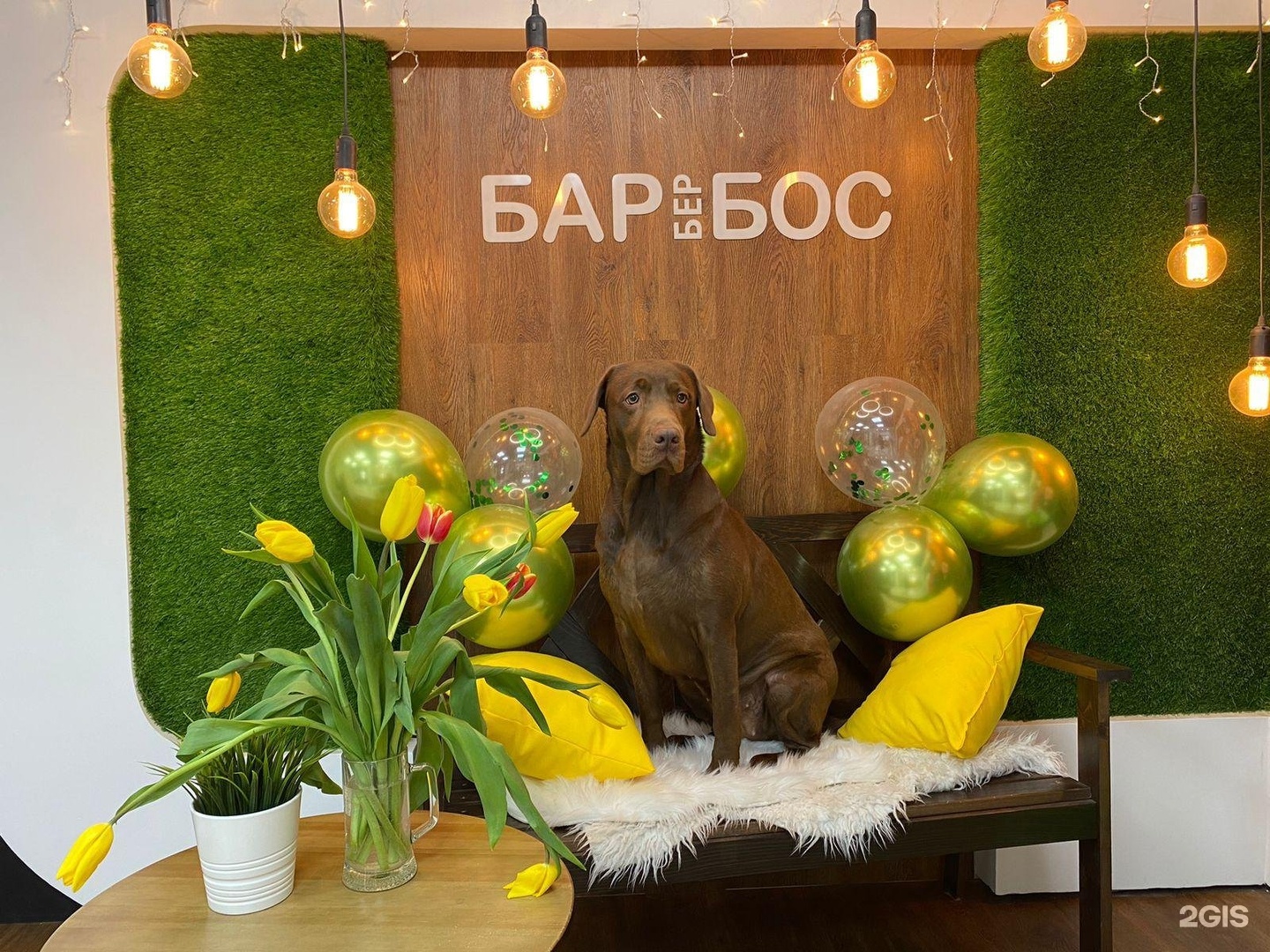 Барбербос, груминг-салон — груминг Красноярск