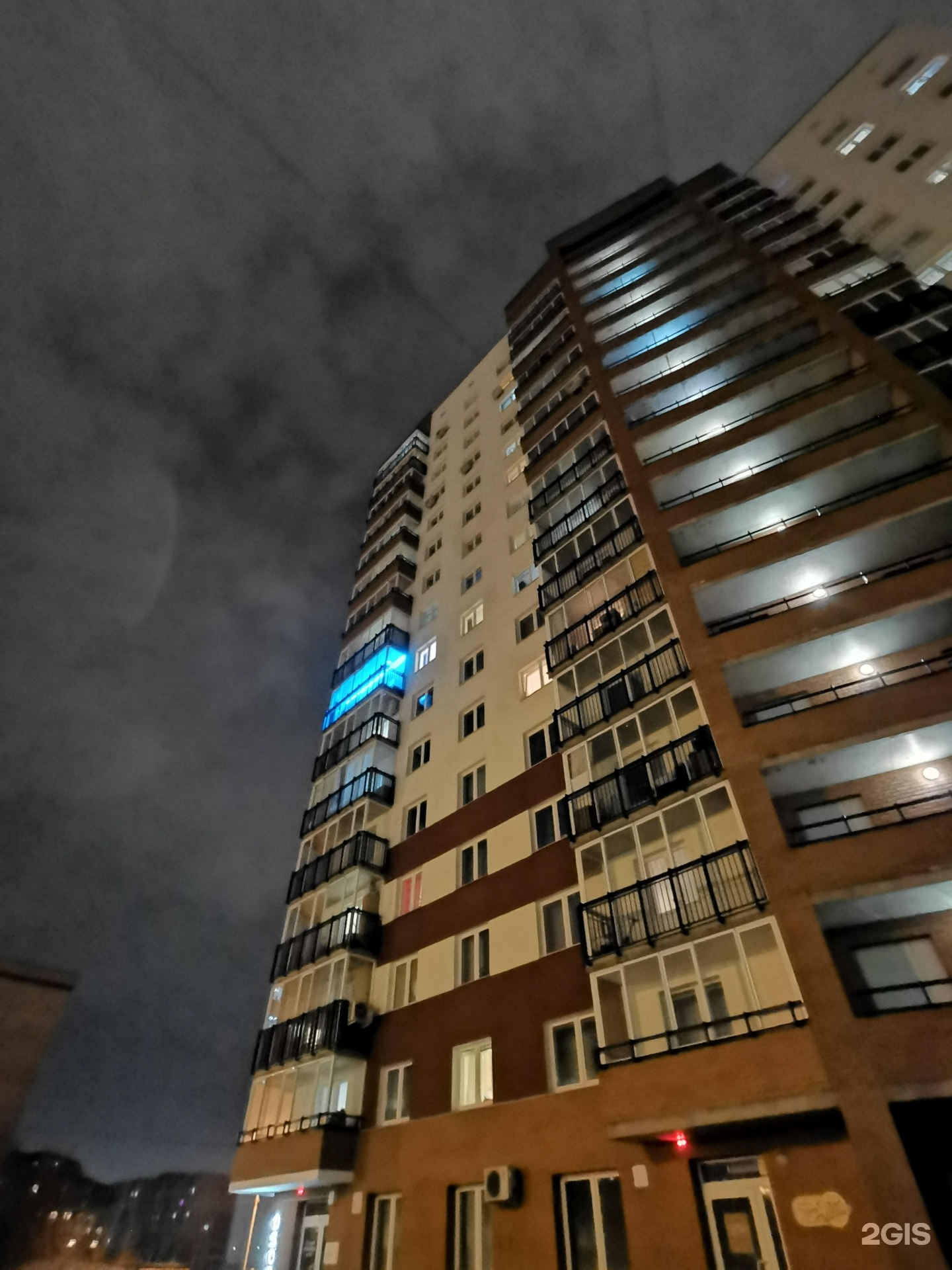 Чистый хвост, груминг-салон