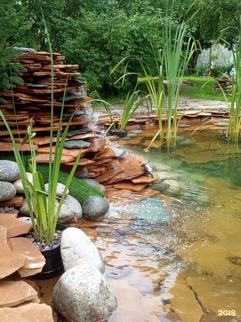 Глубина, студия аквариумов, Форт — груминг Красноярск