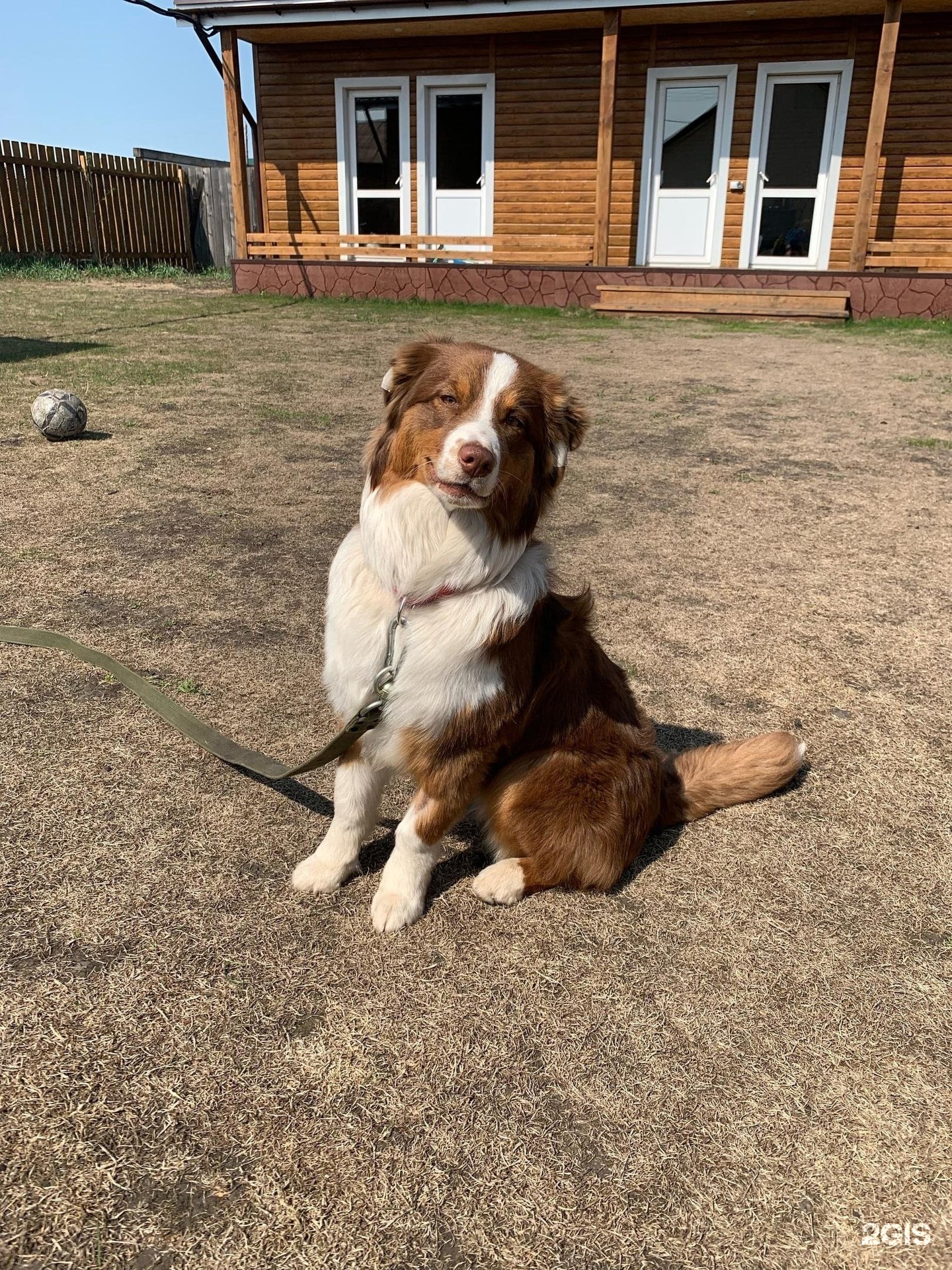 Грум-Room, сибирский центр груминга — груминг Красноярск