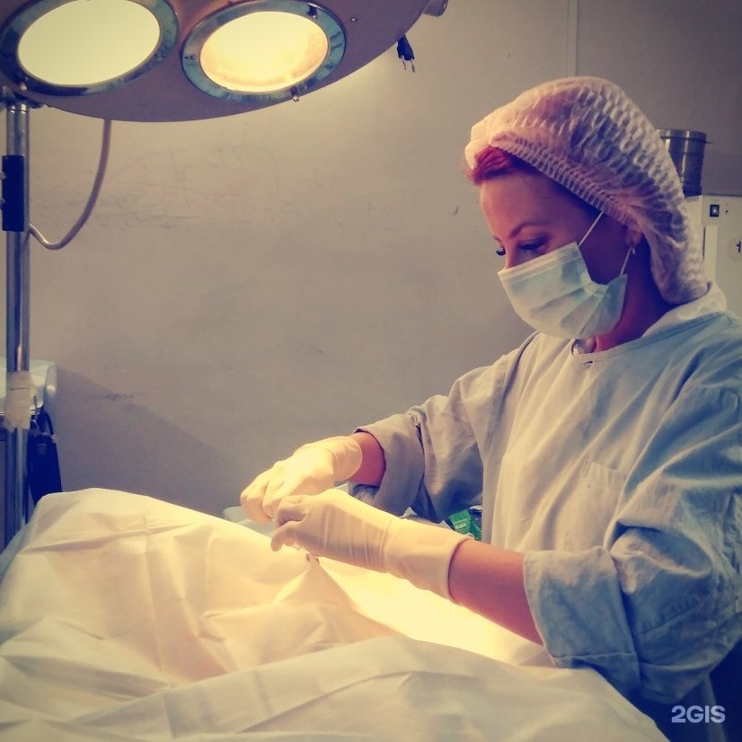 КрасВетМедика, ветеринарная клиника — груминг Красноярск