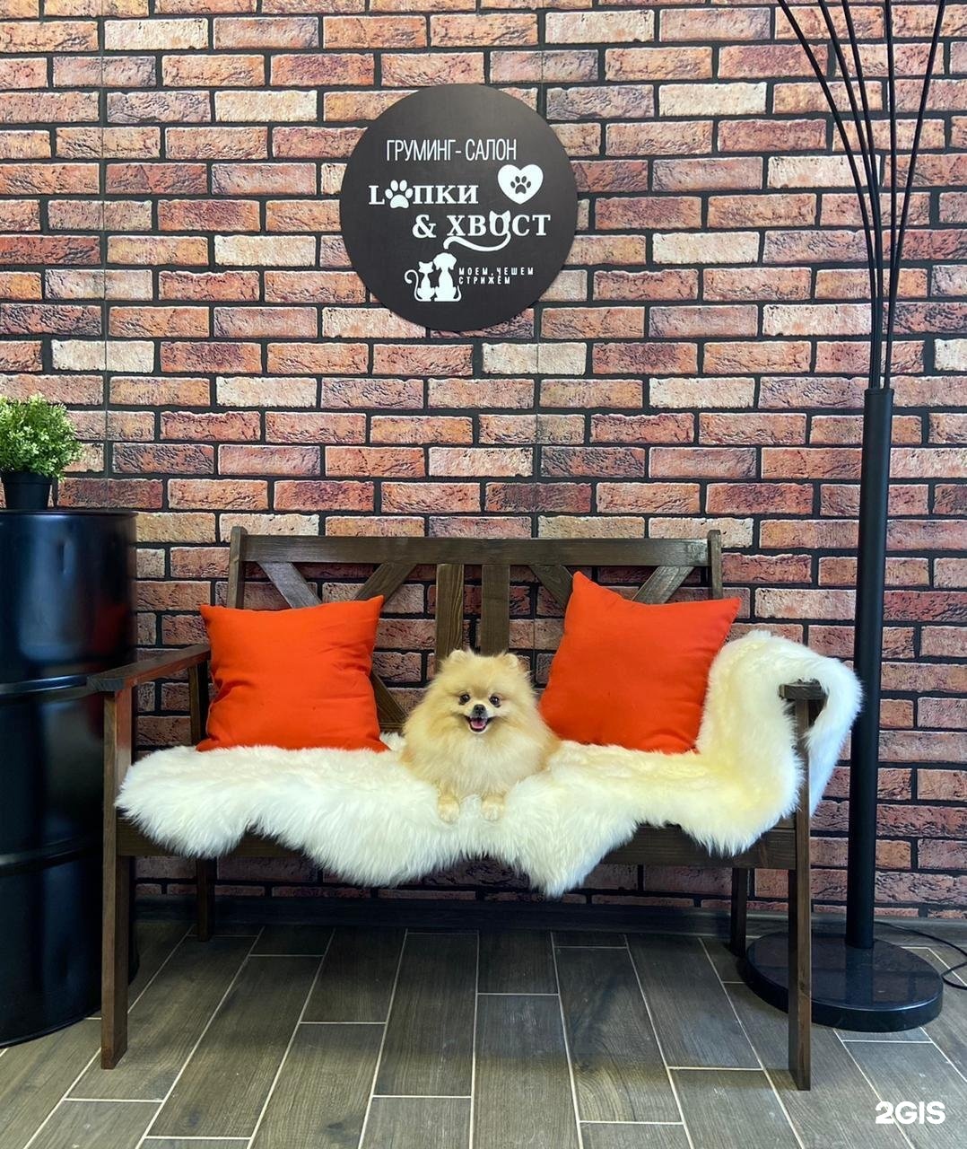Лапки&amp;Хвост, груминг-салон — груминг Красноярск