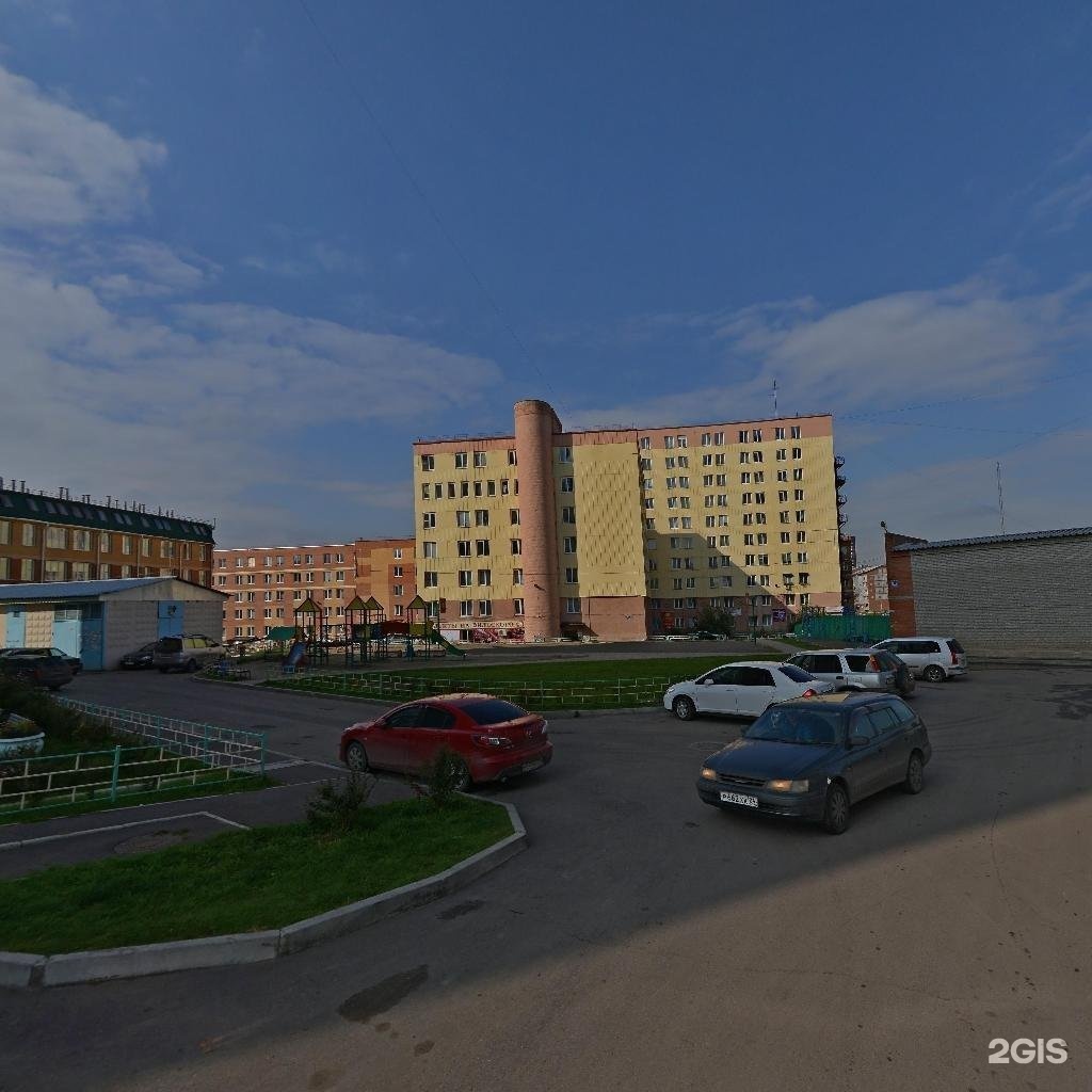 Зал для дрессировки собак