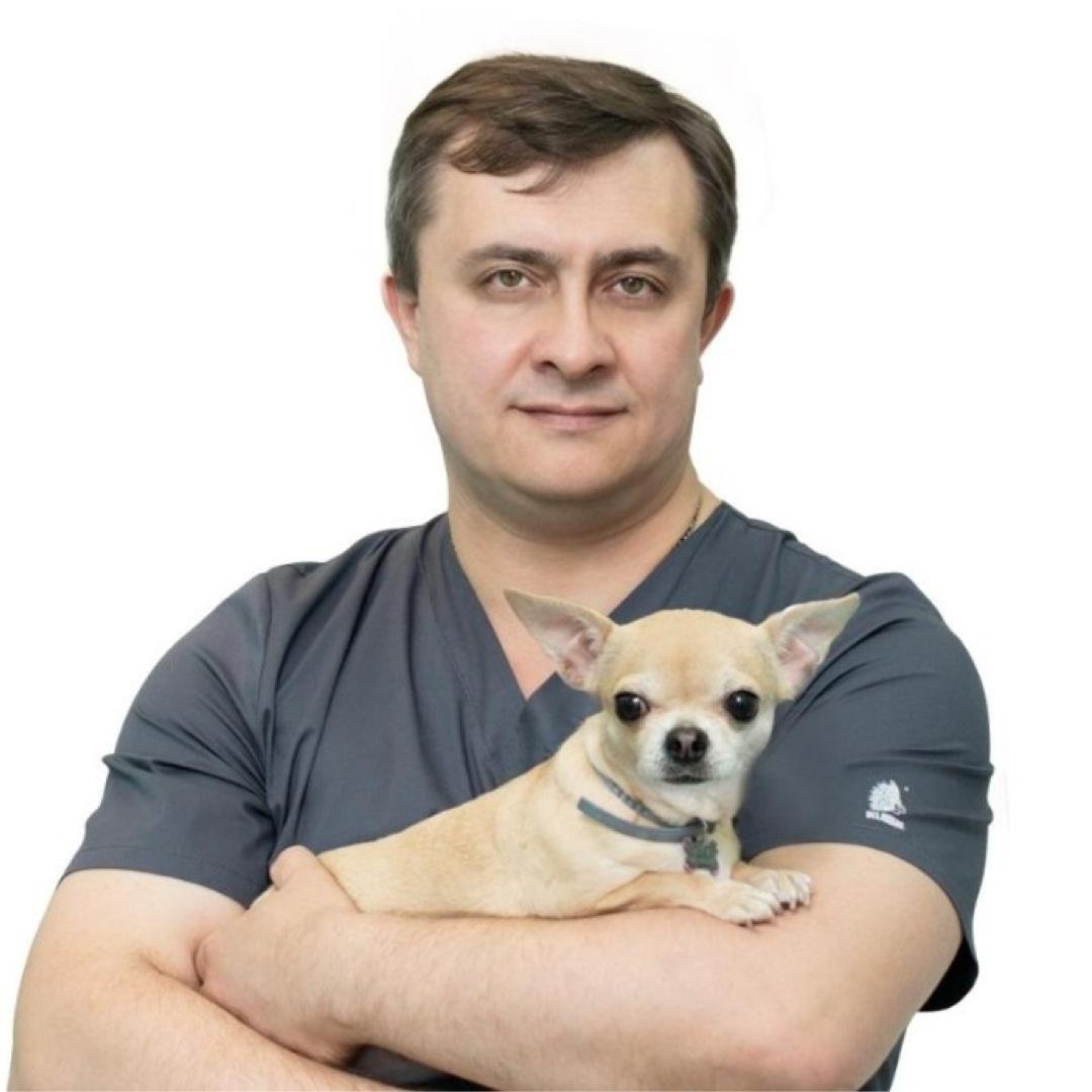 Биовет, ветеринарная клиника