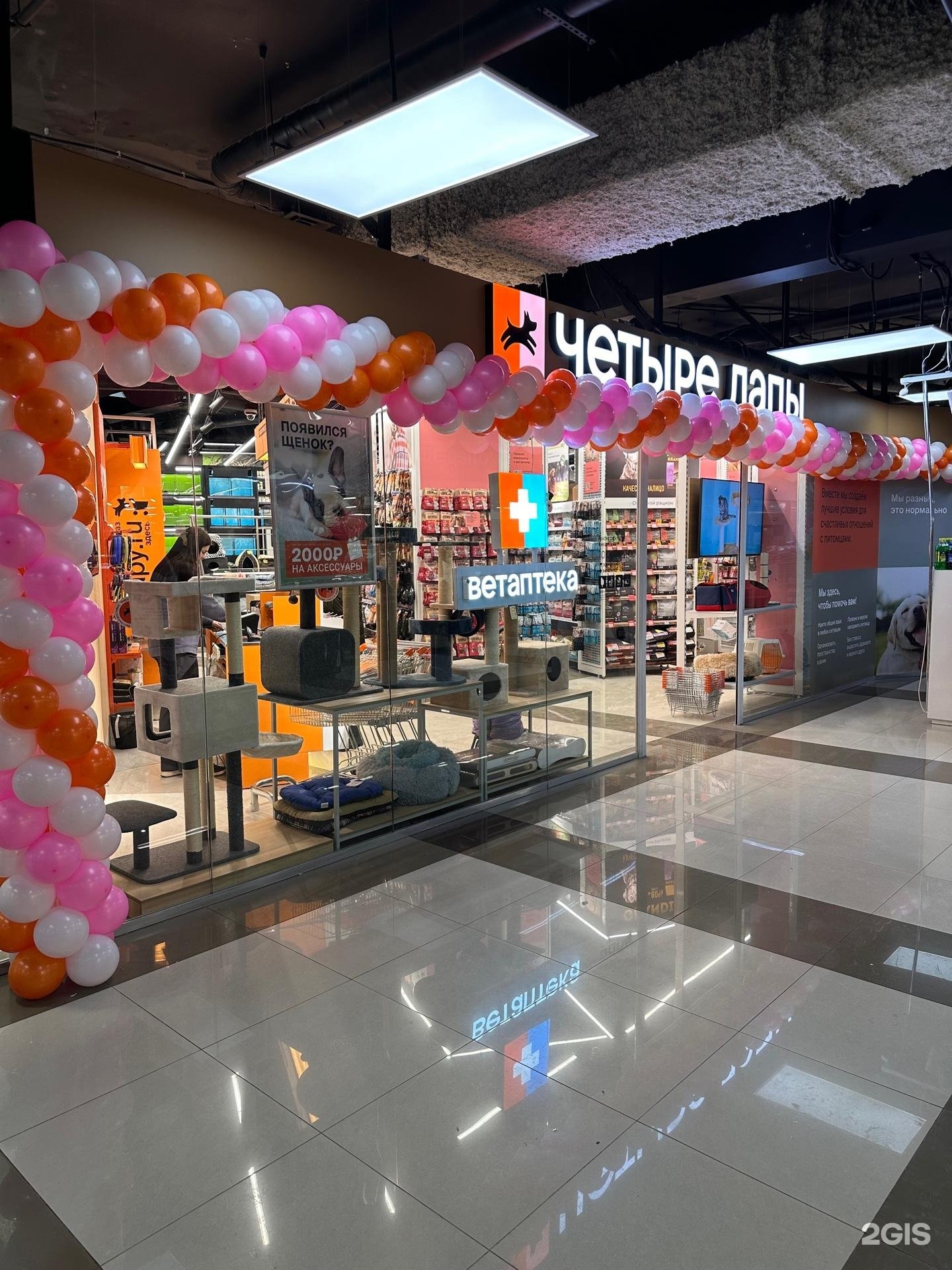 Четыре лапы, сеть зоомагазинов — груминг Москва