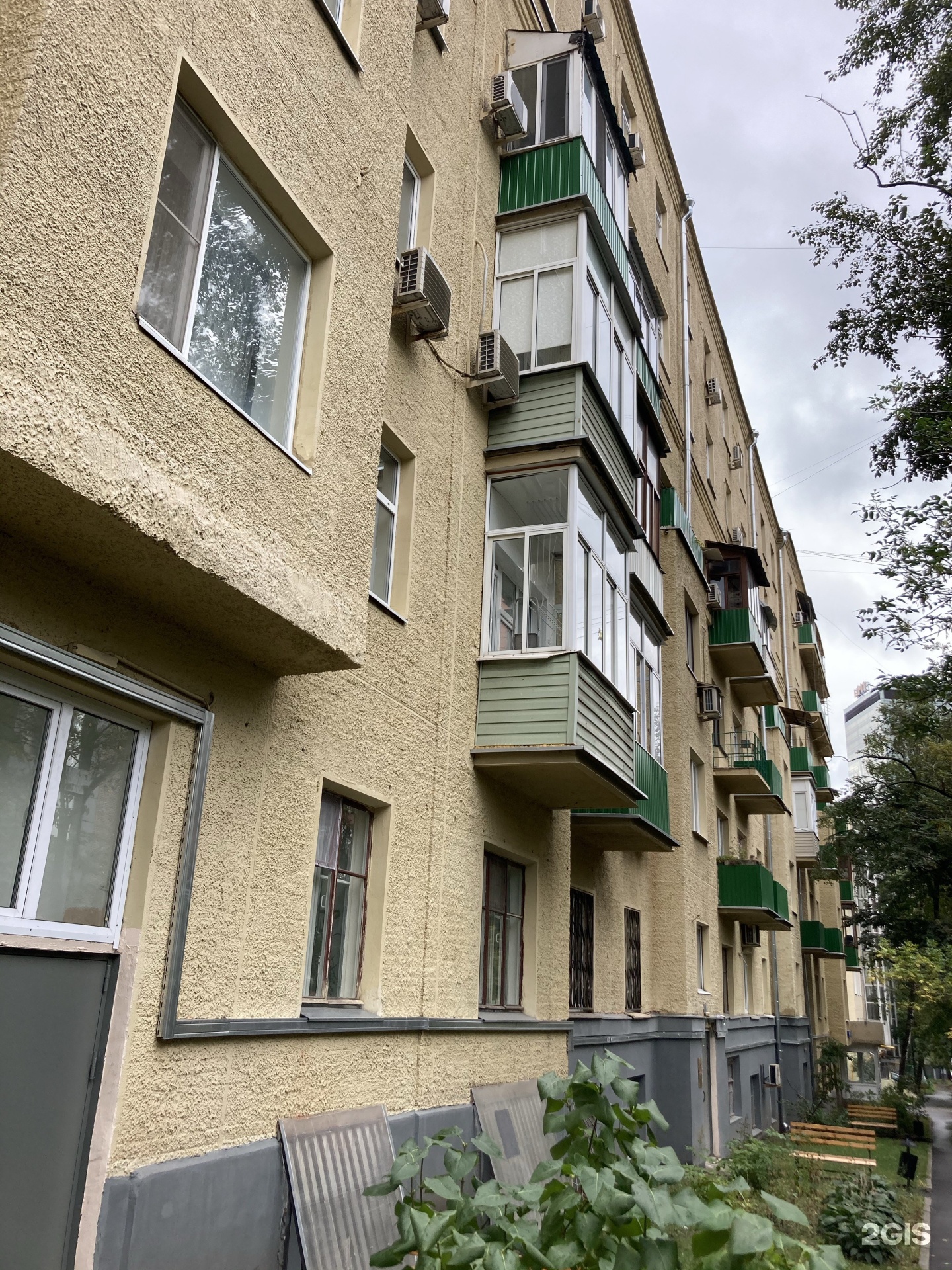 Party Dog, студия груминга, Нижняя Пресня