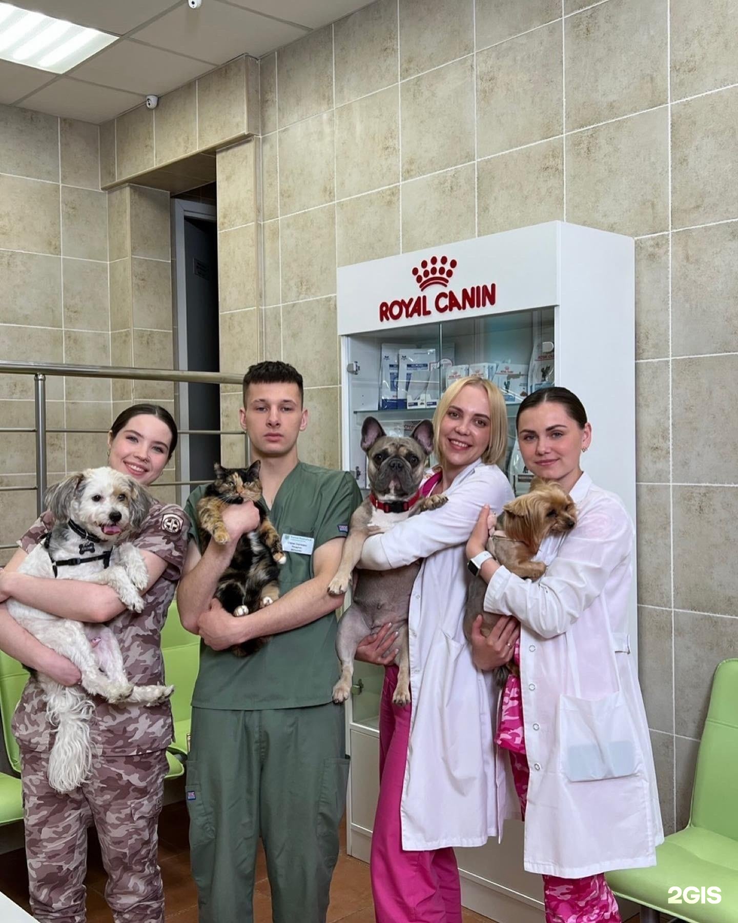 Усатый полосатый, ветеринарный центр — груминг Москва