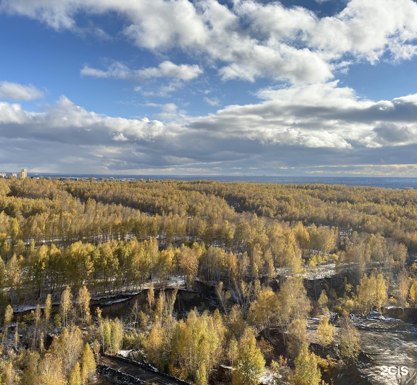 Barberdog, салон груминга