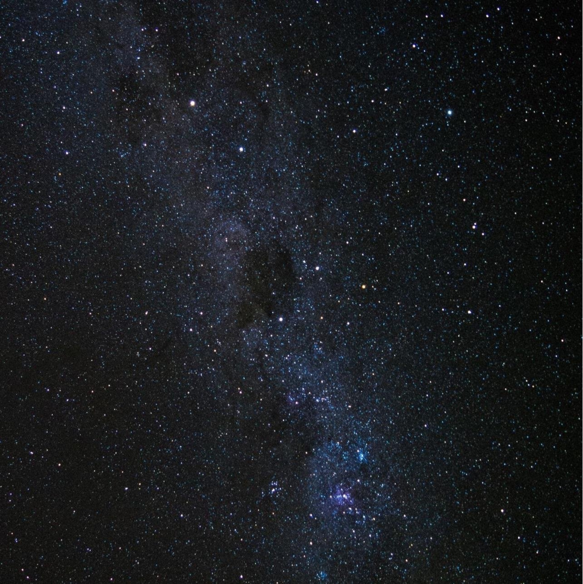 Котёнок Гав, груминг-SPA салон для питомцев