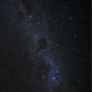 Котёнок Гав, груминг-SPA салон для питомцев