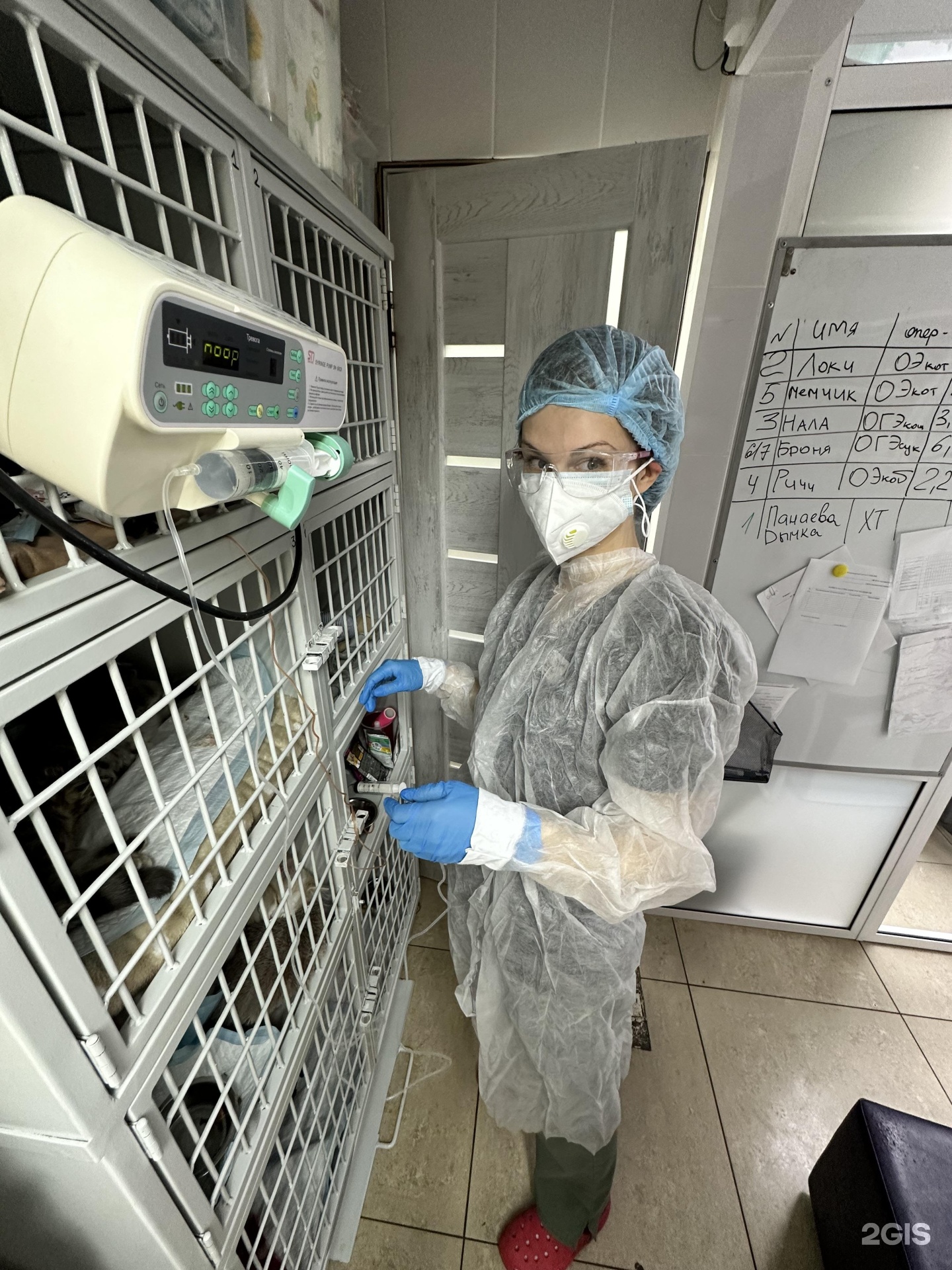 Ламурр, ветеринарный центр — груминг Новосибирск