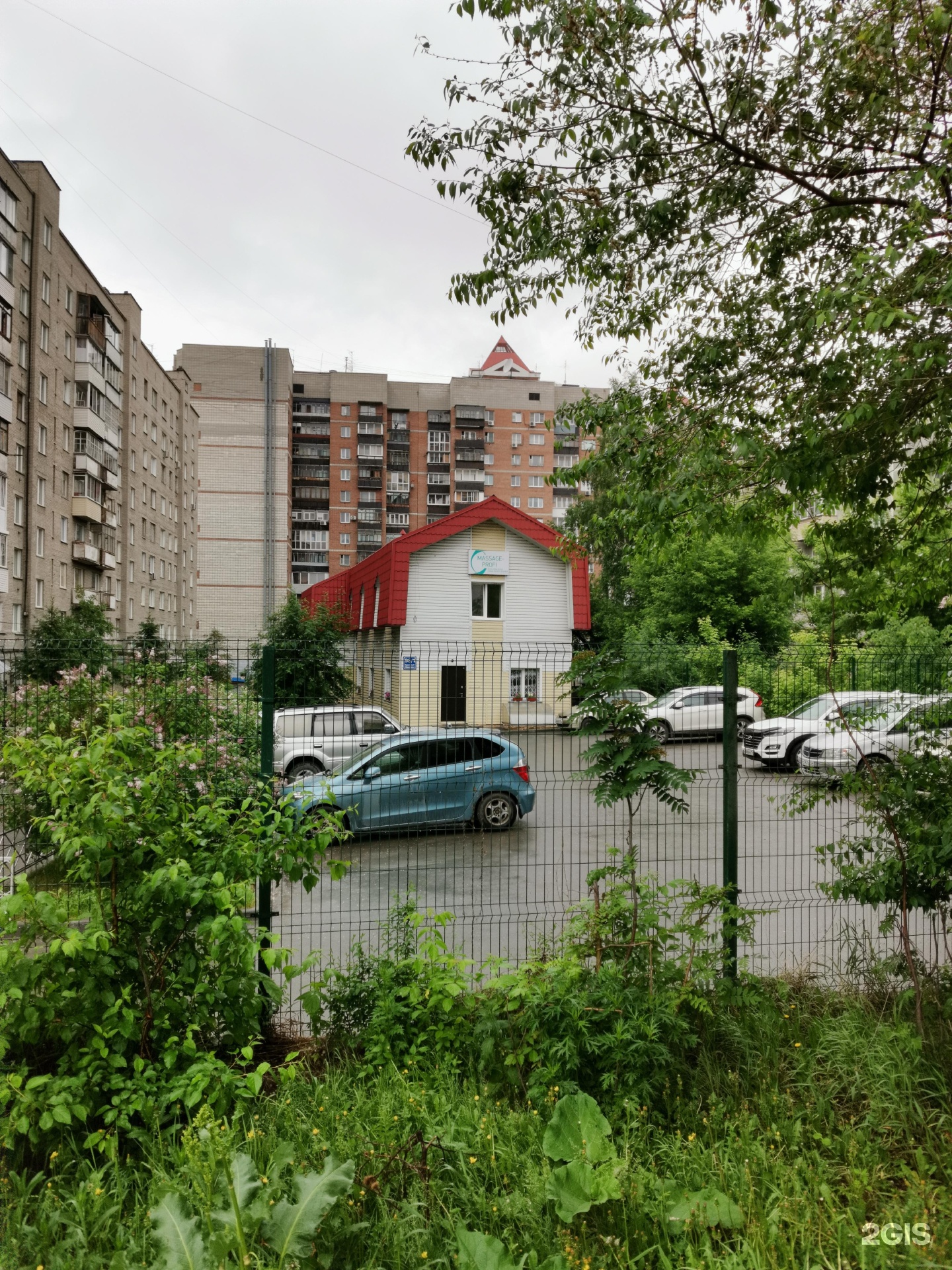 Студия заботы о ваших питомцах