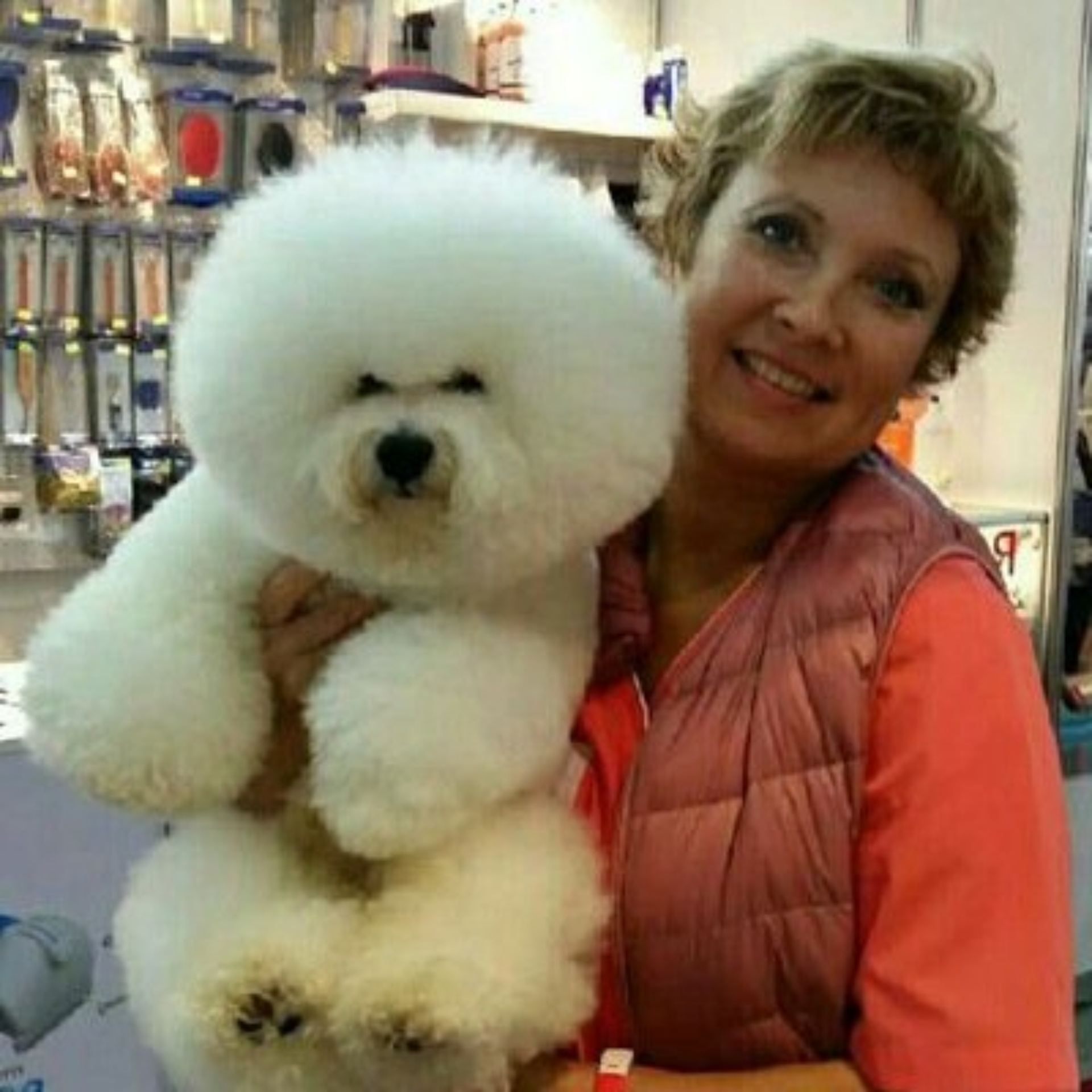 Альфа дог, зоосалон