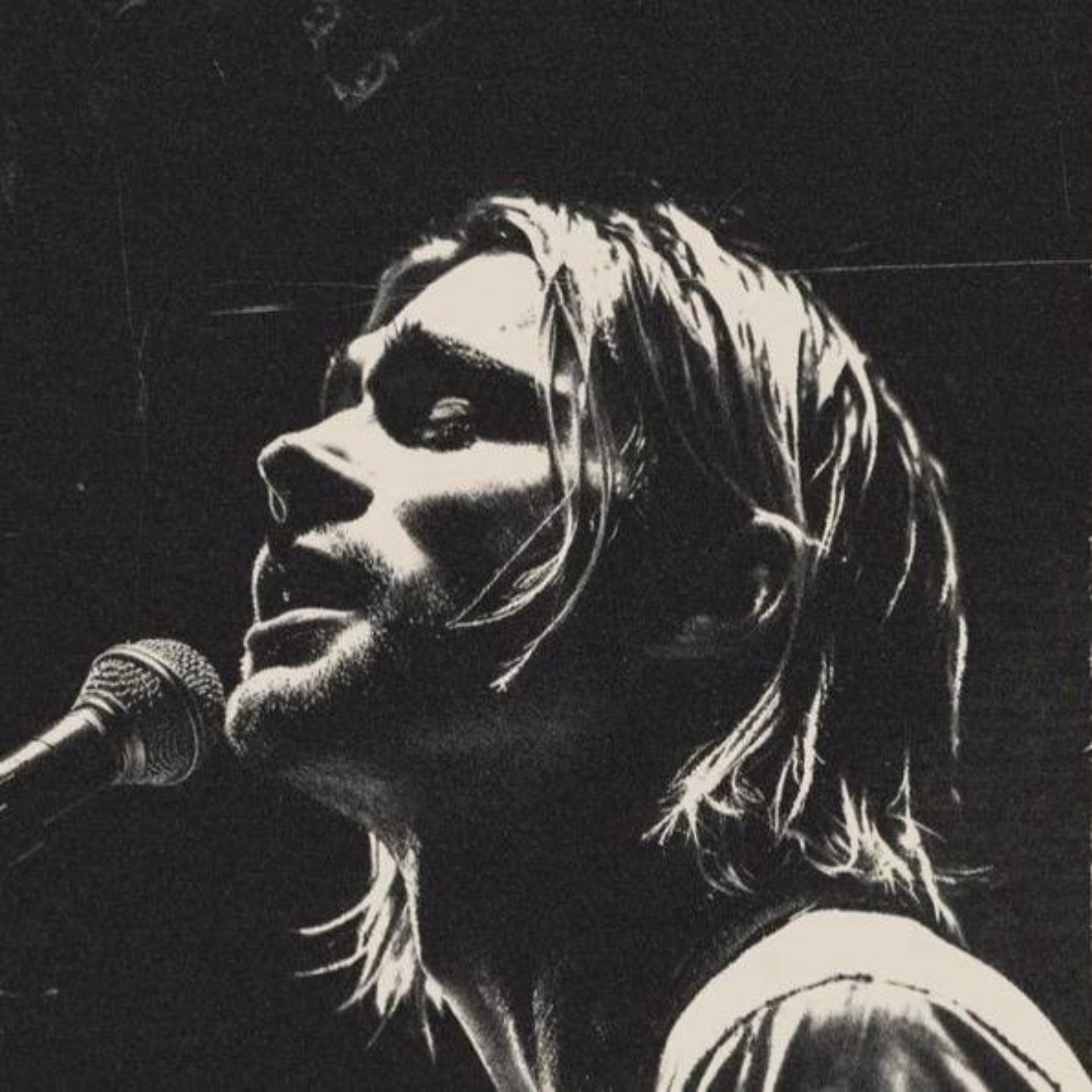 АриГрум, студия груминга