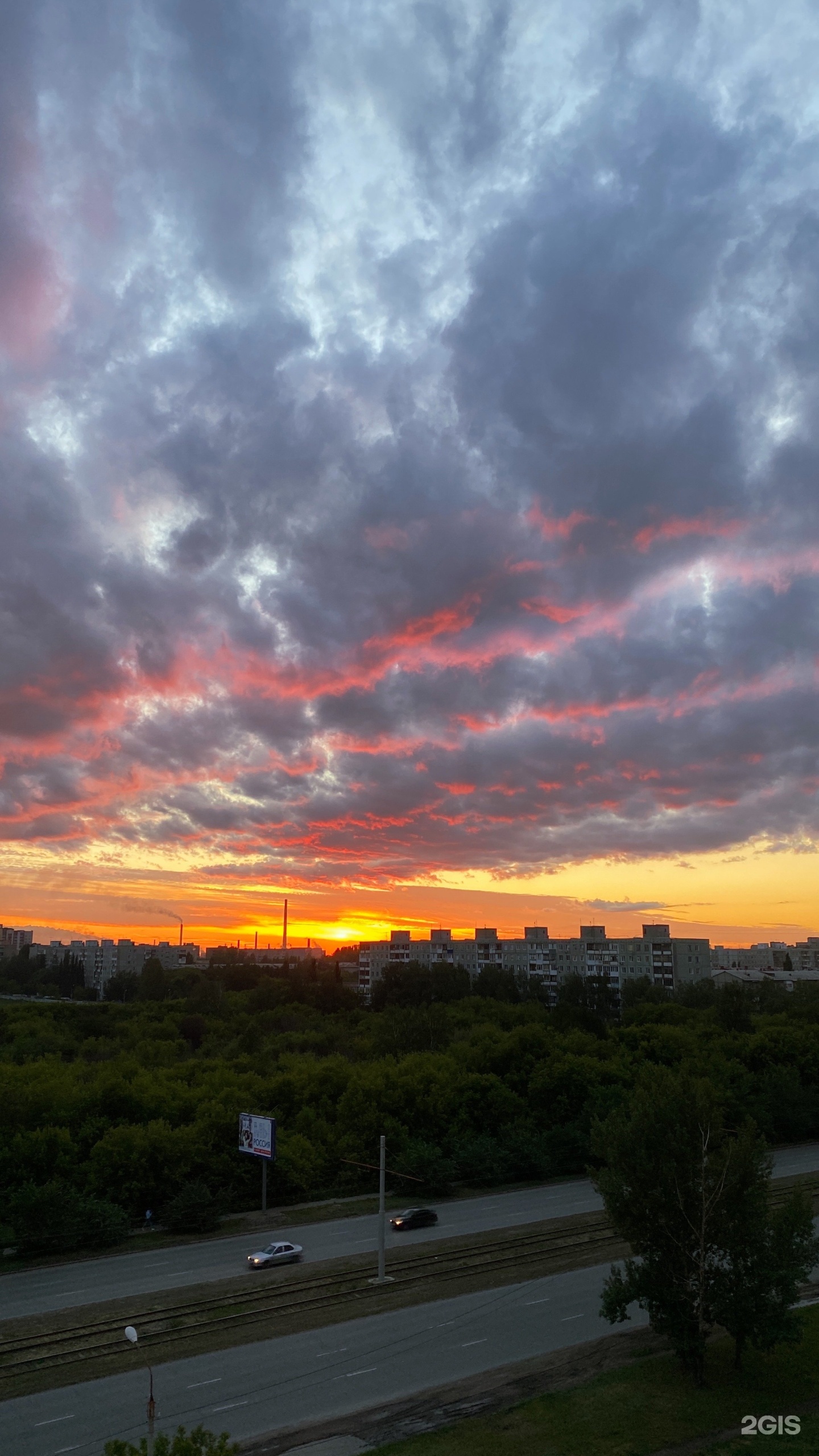 Айболит+, ветеринарный центр