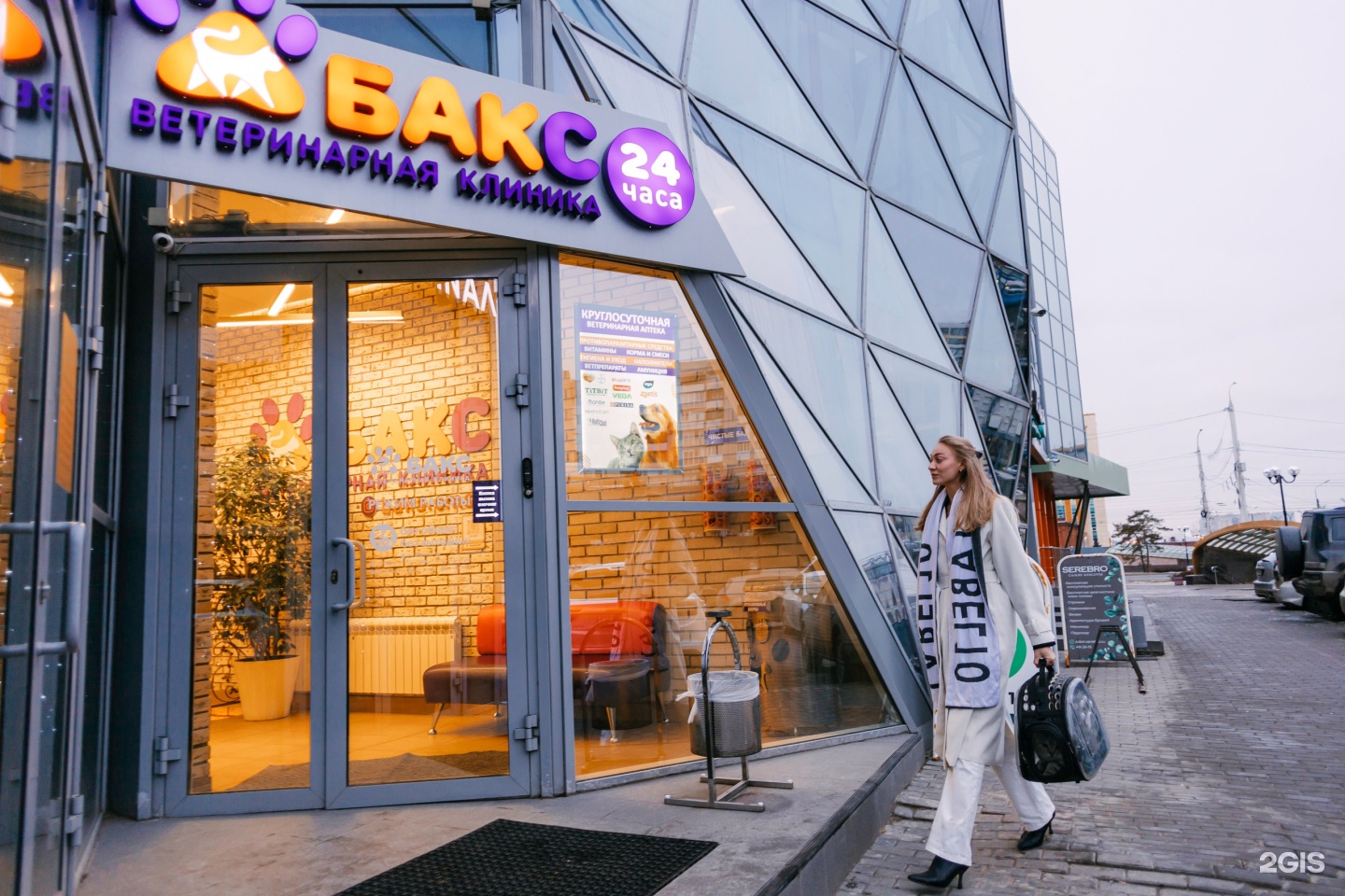 Бакс, ветеринарный центр, Фрунзе — груминг Омск