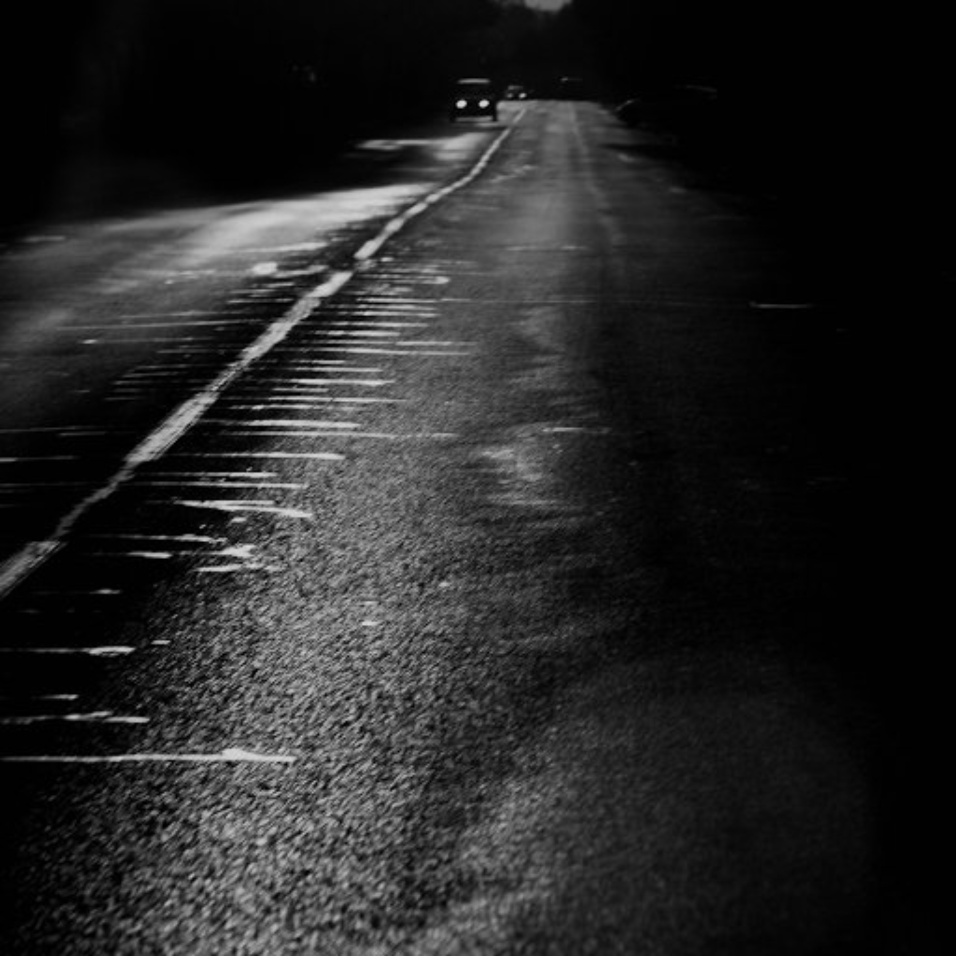 Ирбис, ветеринарный центр по лечению и уходу за животными