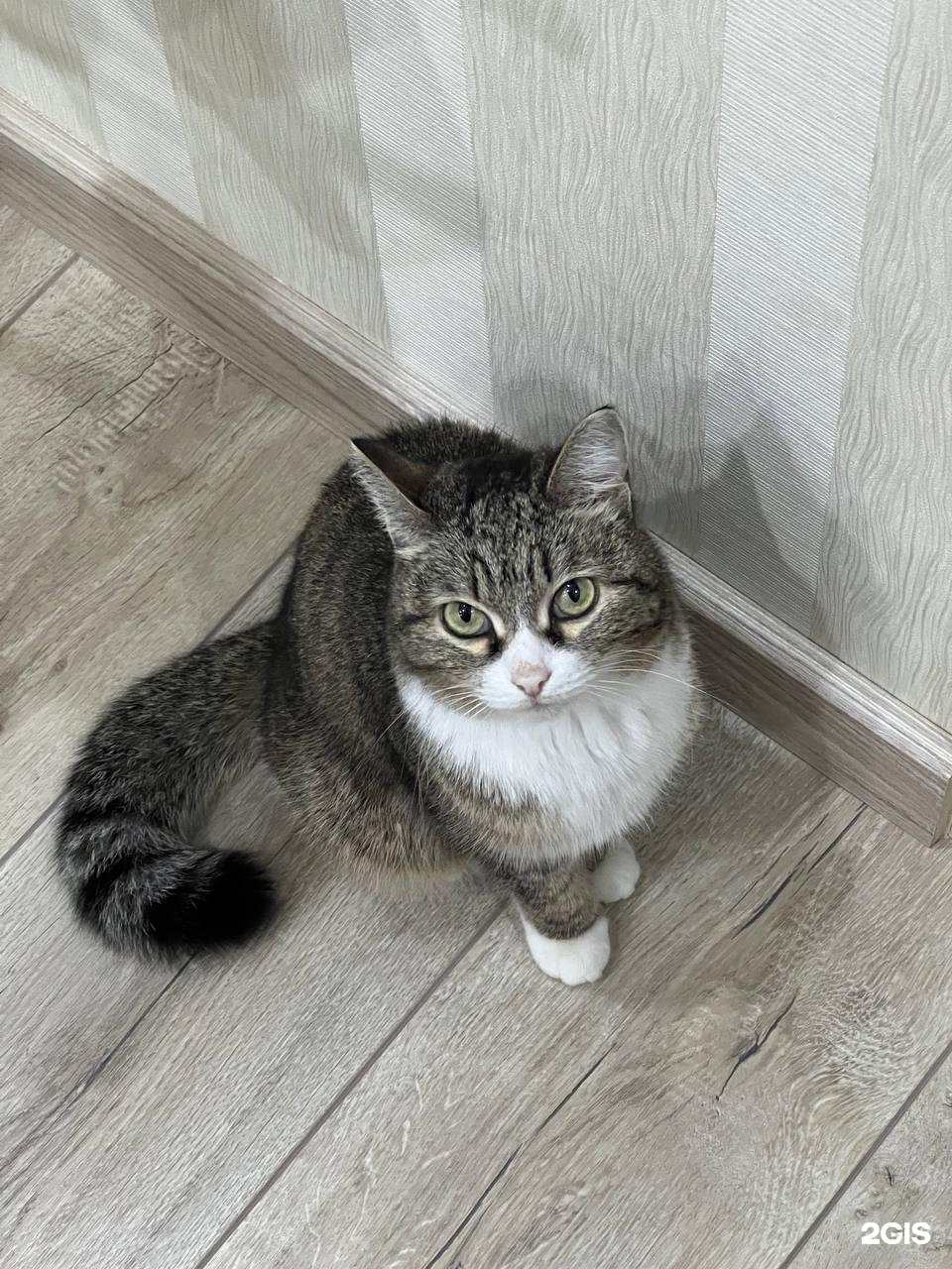 Омский областной центр по профилактике — груминг Омск