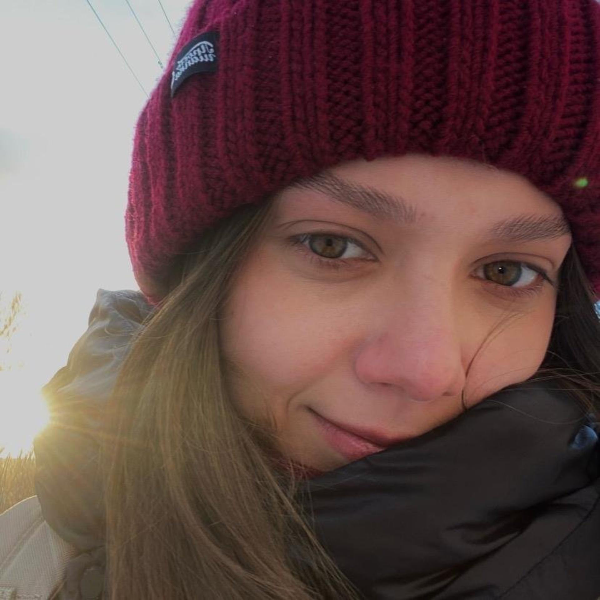 ВертиХвостик, ветеринарная клиника