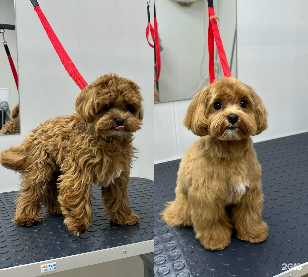 Барберпёс, Советской Армии