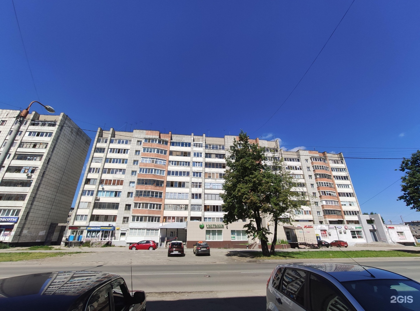 Бонифаций, зоомагазин