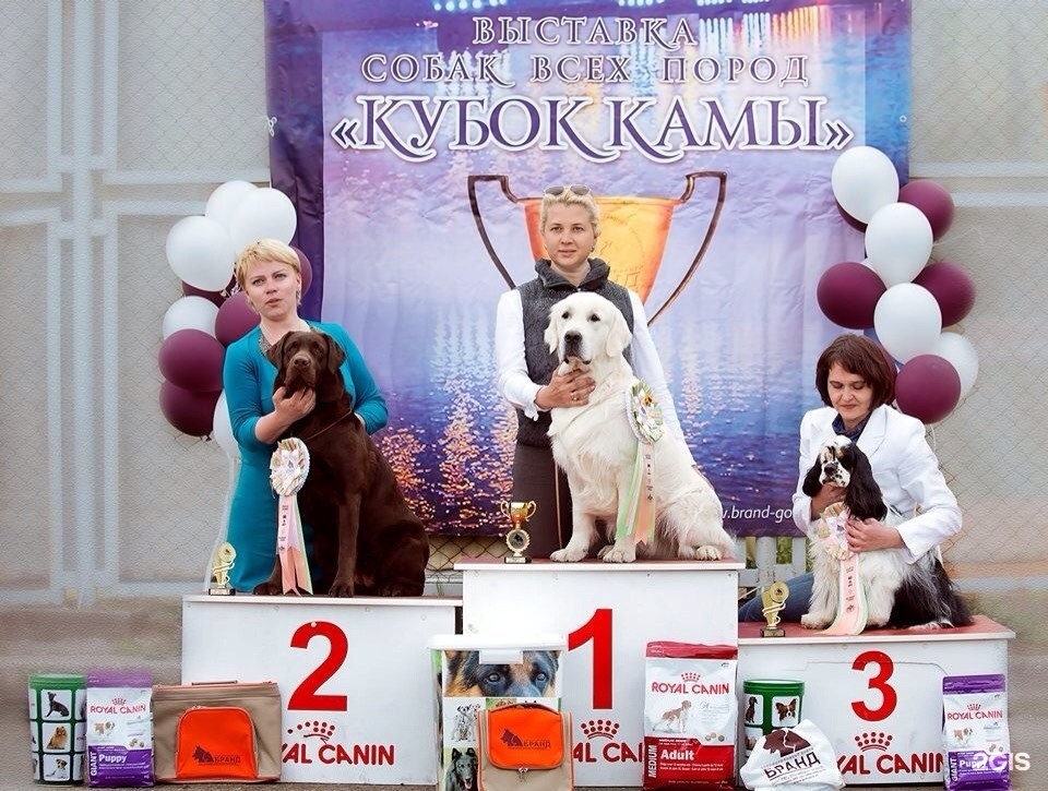 Бранд, кинологический центр, Краснов двор