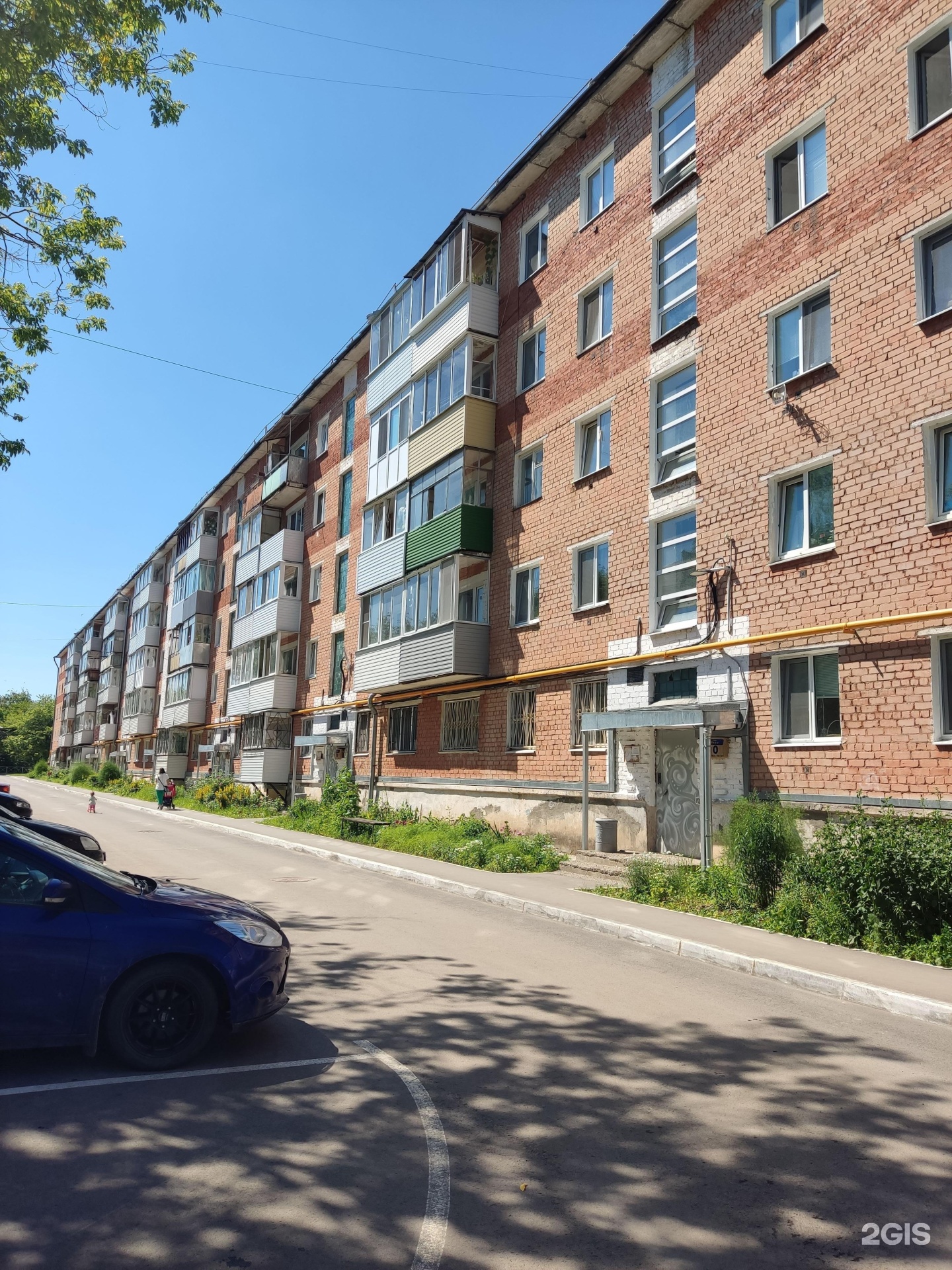 Лапки-царапки, зоомагазин и кабинет груминга