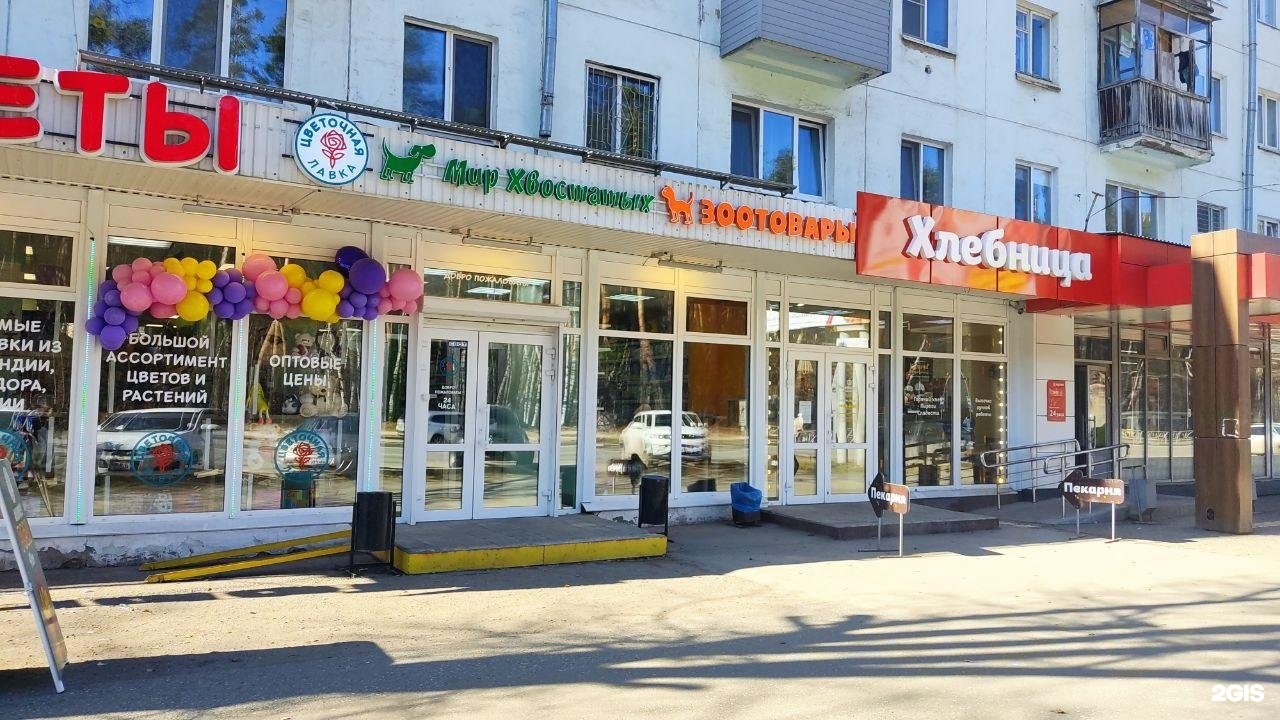 Мир хвостатых, магазин зоотоваров