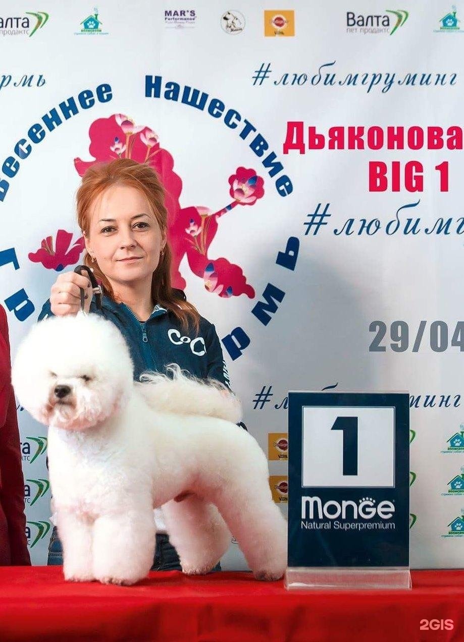 Зооветсервис, ветеринарный центр