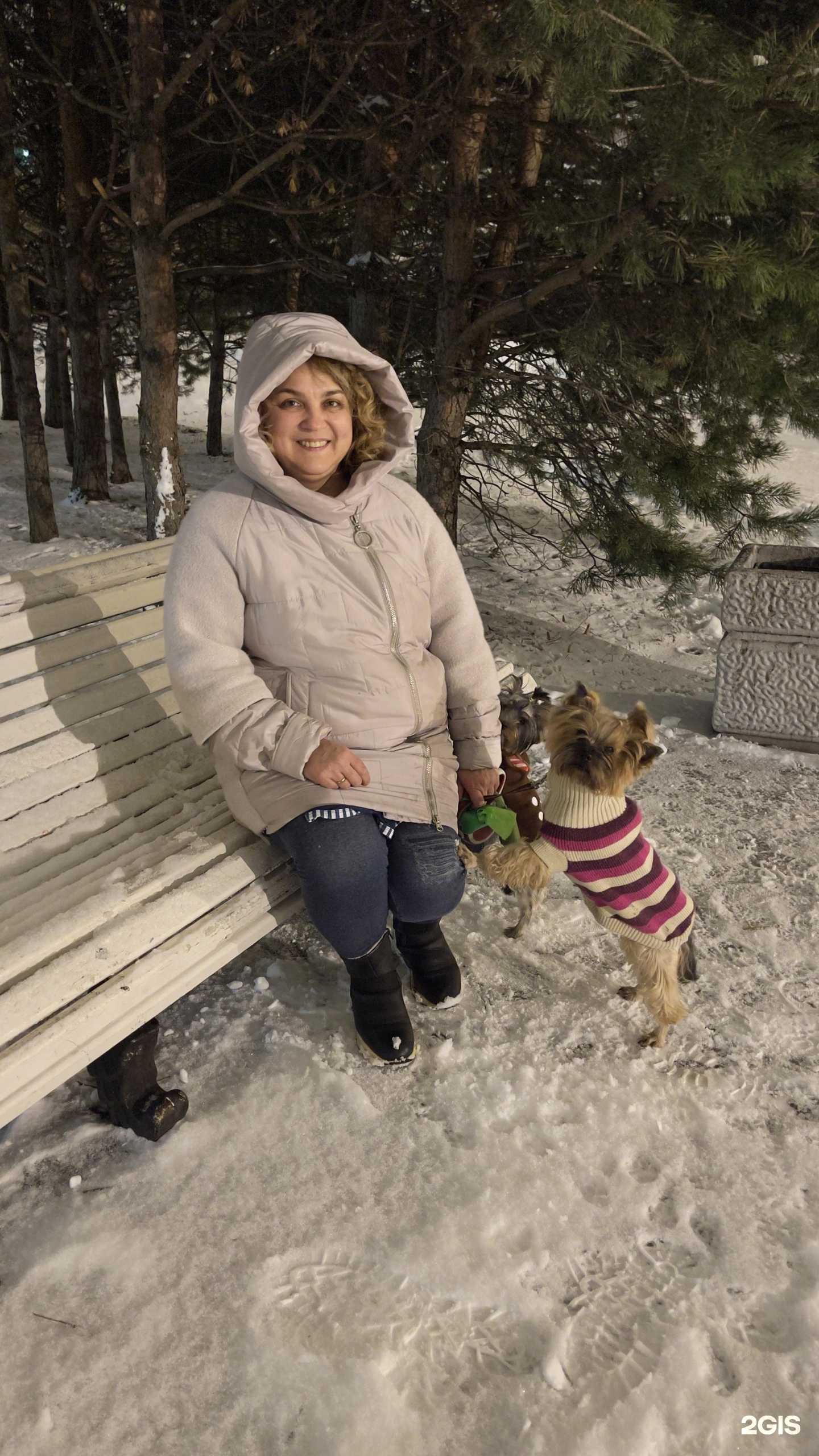 Чип и Дейл Плюс, ветеринарный центр — груминг Санкт-Петербург