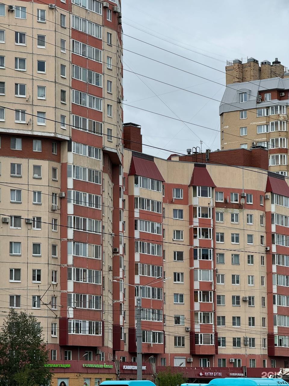 Фаворит Императрицы, зоосалон, улица Савушкина, 127