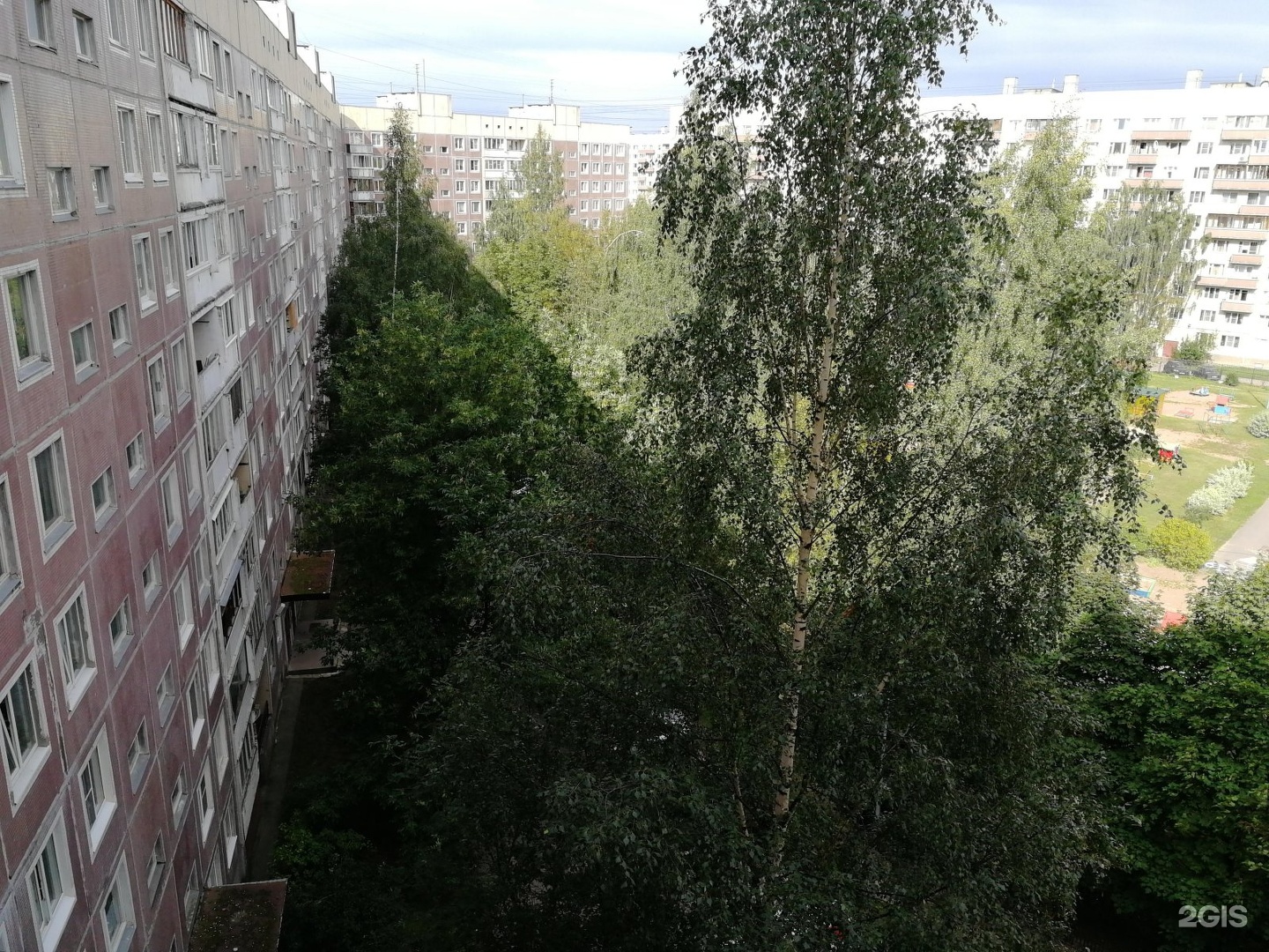 Лапочка, зоосалон