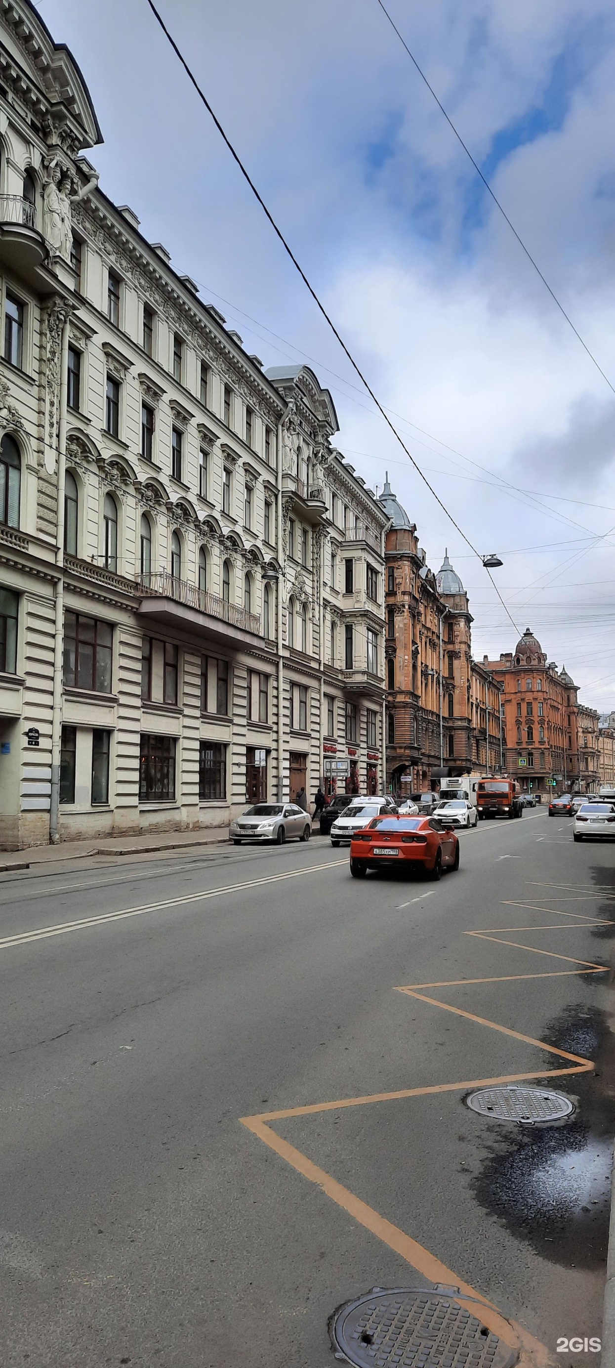 Пэтси, зоосалон