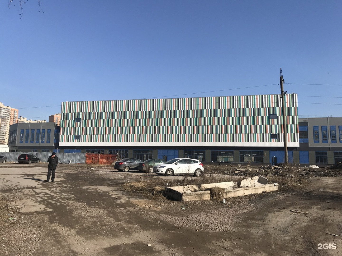 Strong Dog, центр развития собак