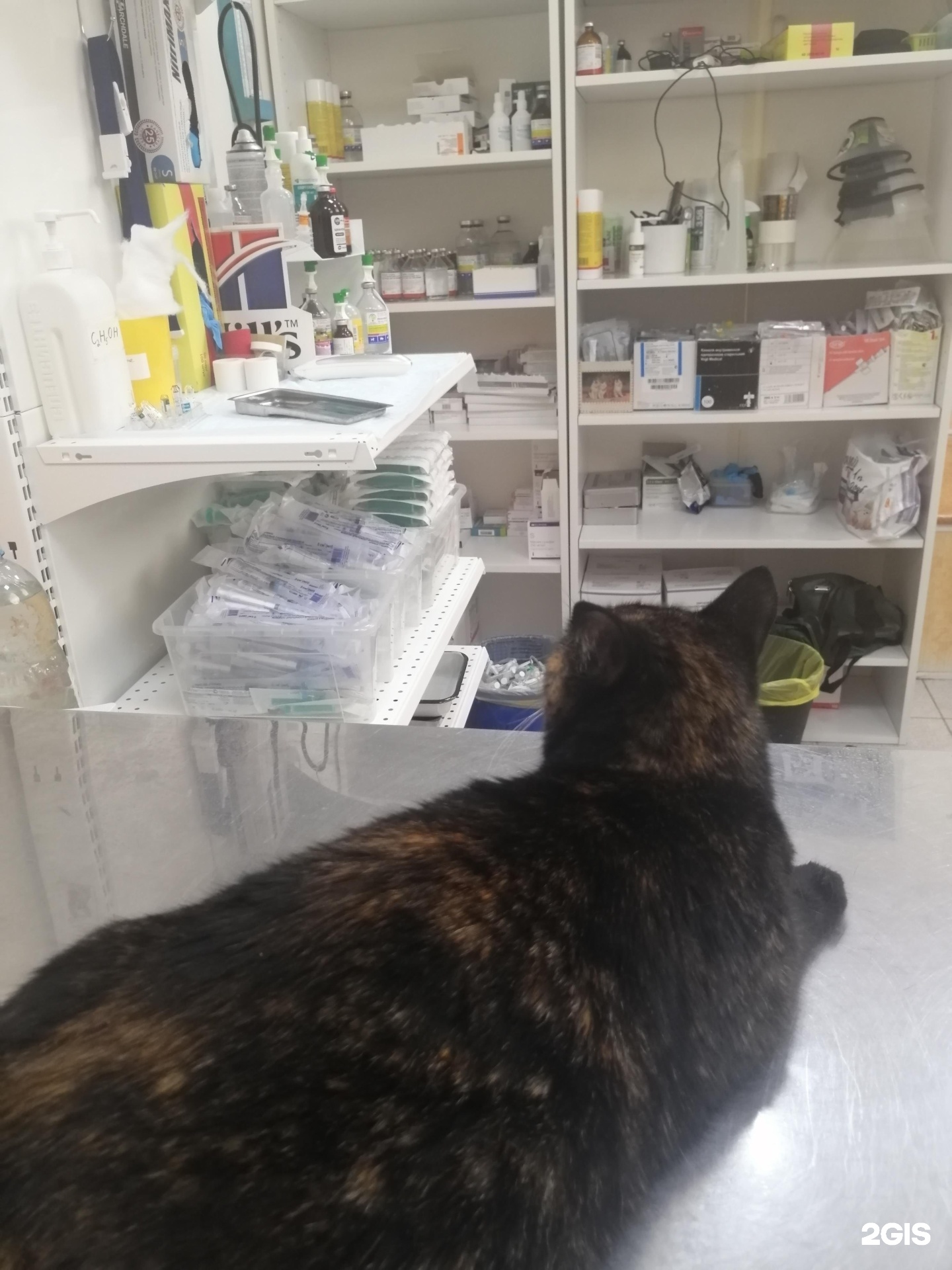 Альфа-Вет, ветеринарный центр — груминг Самара