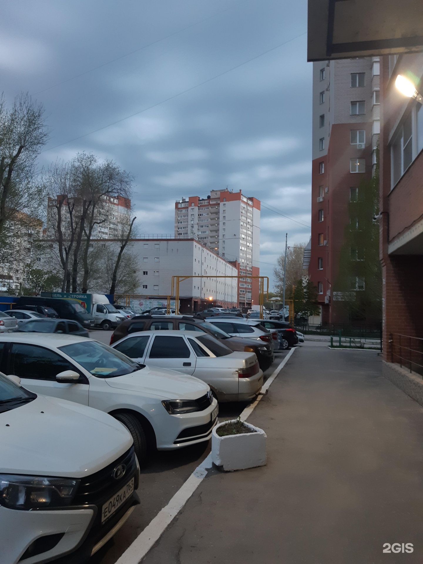 Априори, кинологический клуб