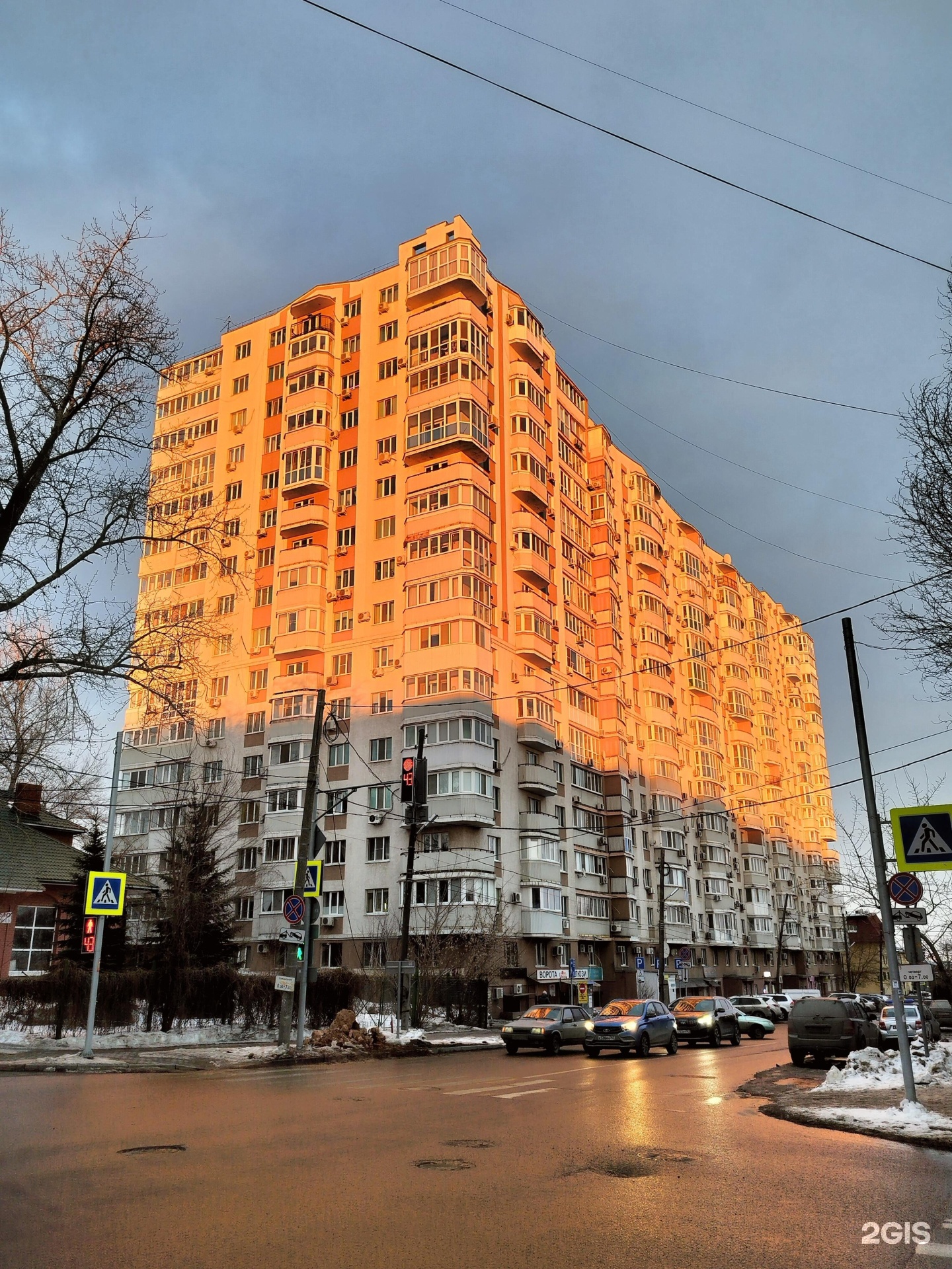 Чехвост, зоосалон