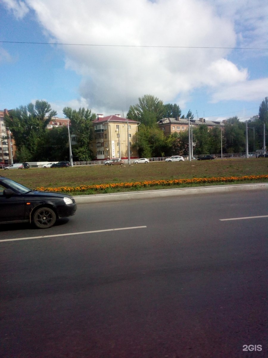 Домашний питомец