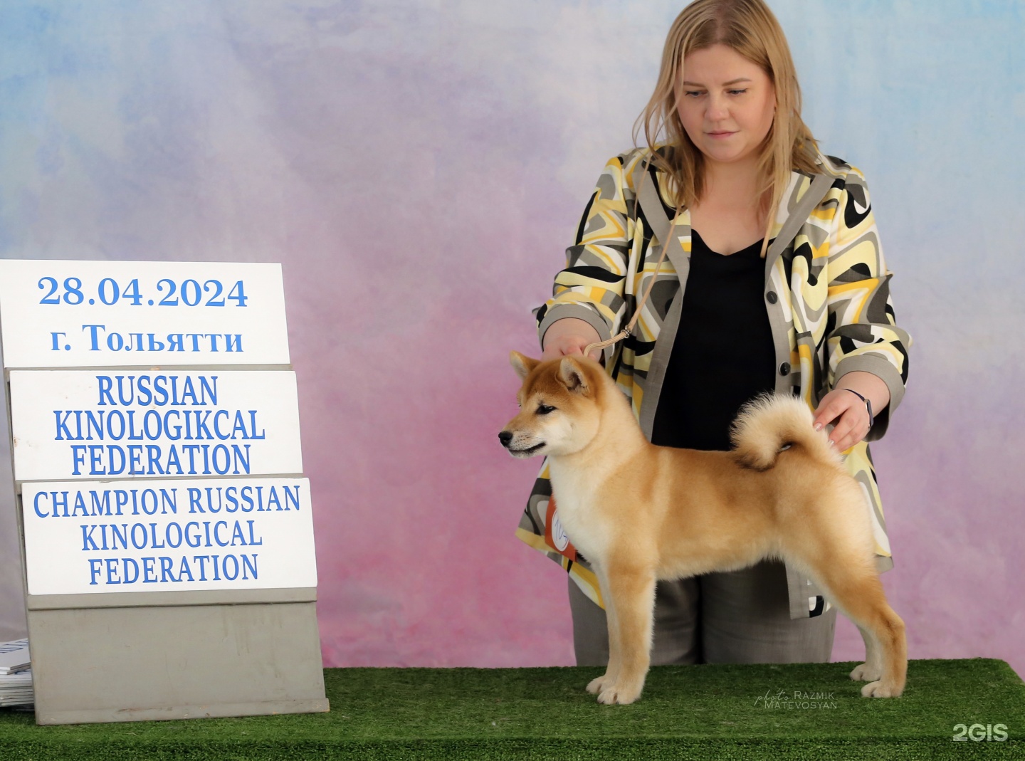 Импульс, кинологический клуб и салон груминга, улица Ново-Садовая, 230 — груминг Самара